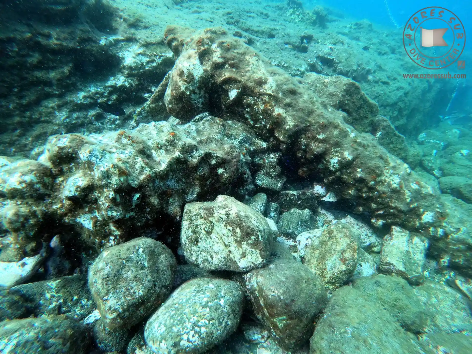 Dive site photo