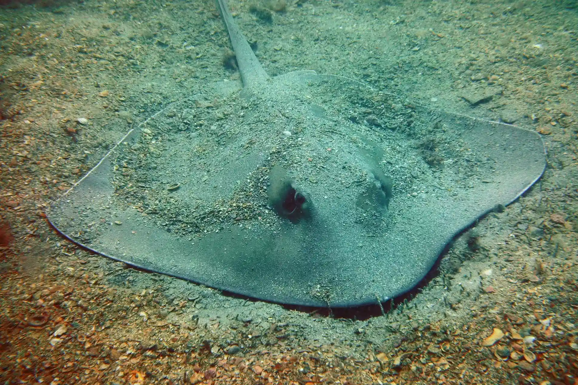 Dive site photo