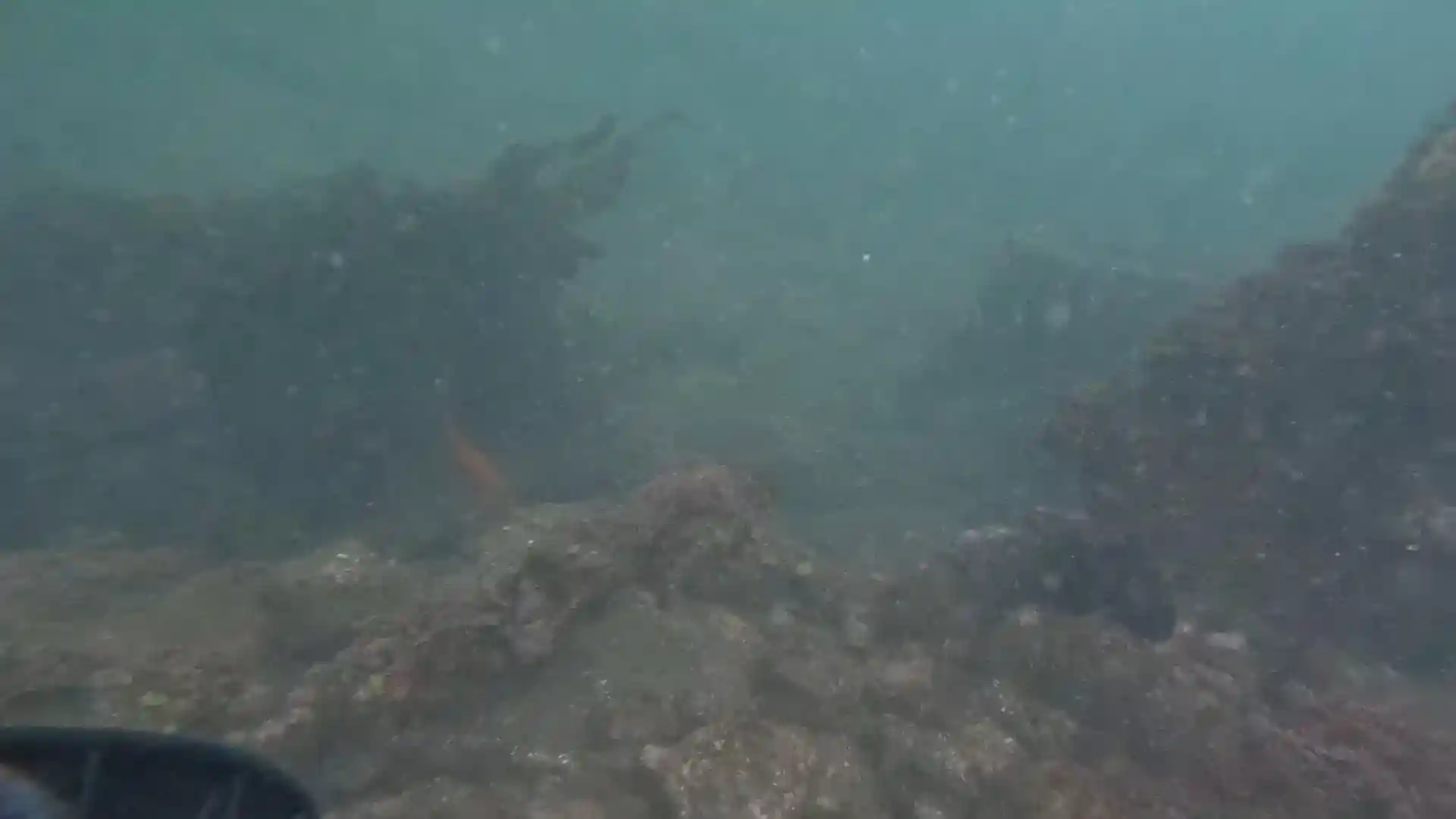 Dive site photo