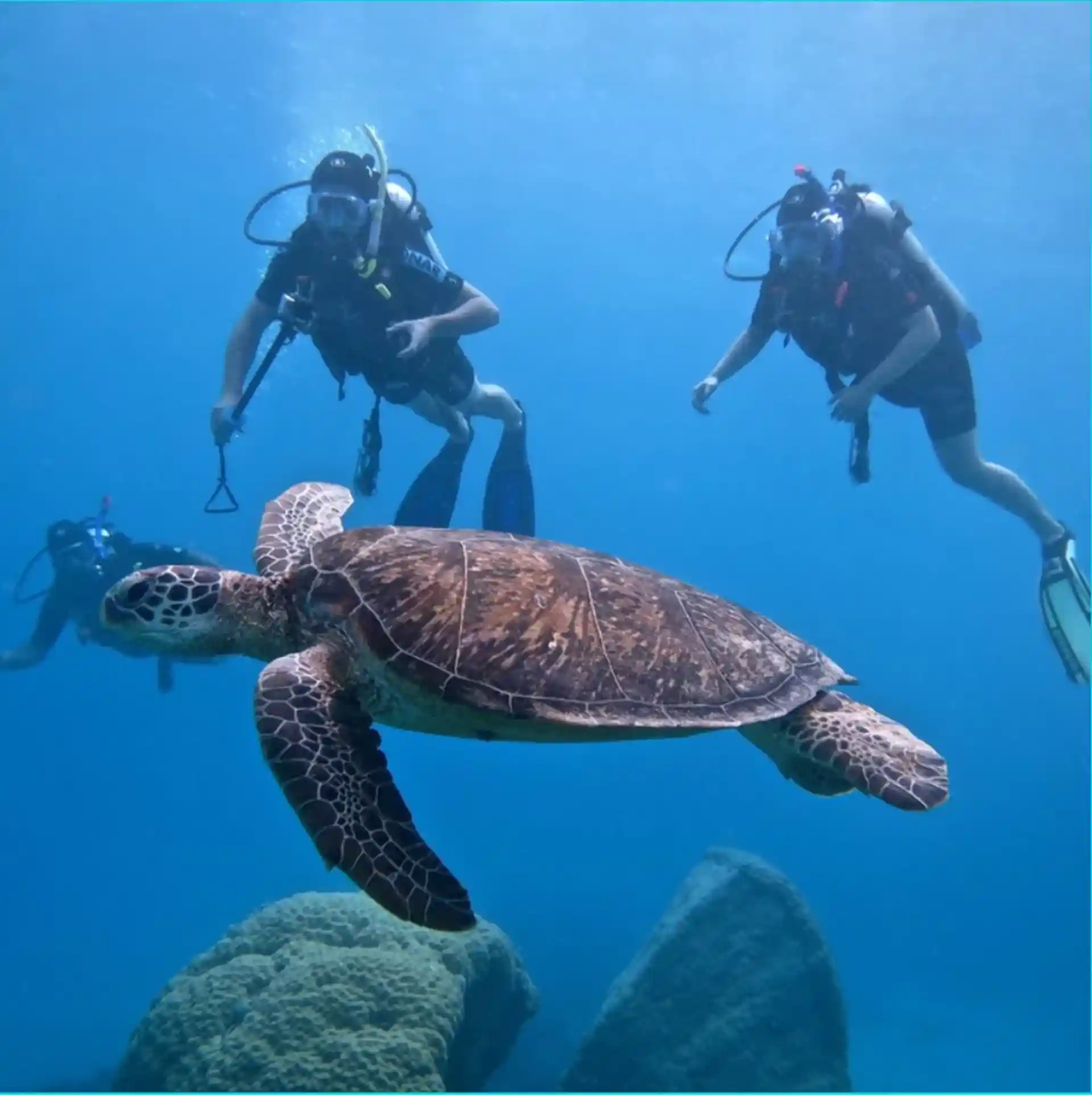 Foto des Tauchplatzes