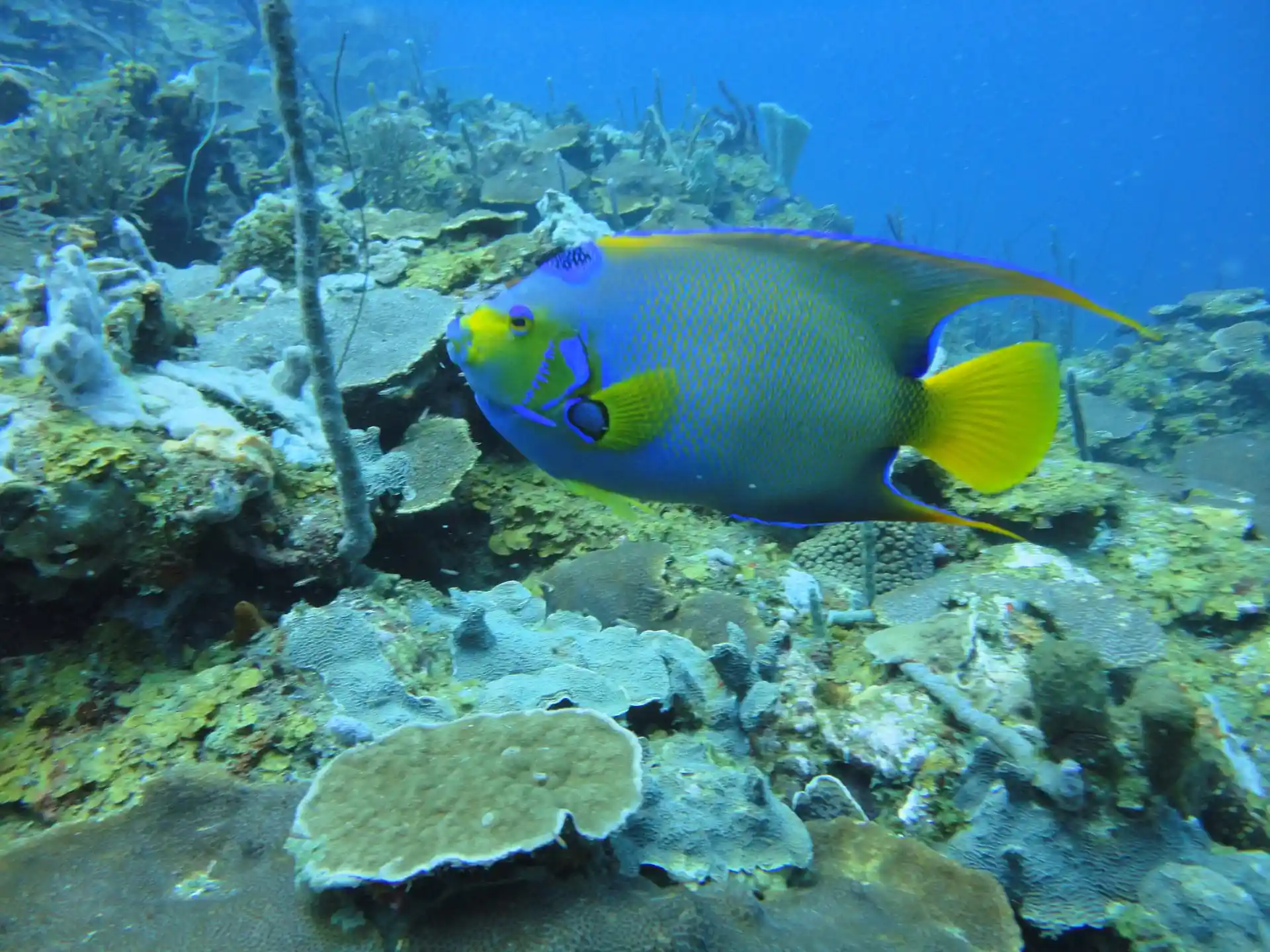 Dive site photo