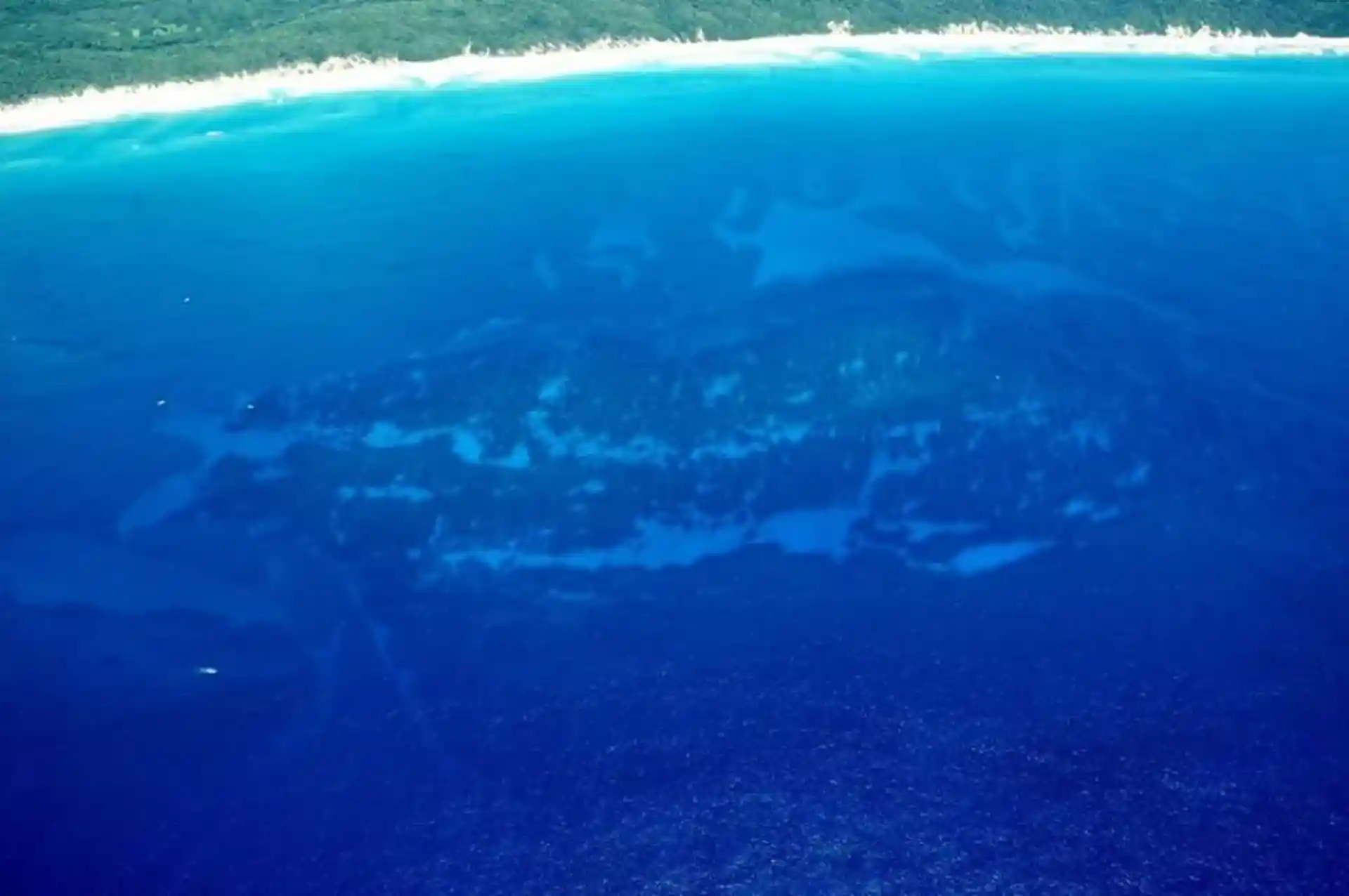 Dive site photo