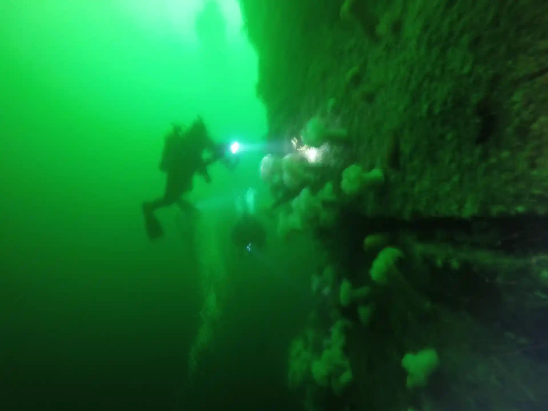 Dive shop photo