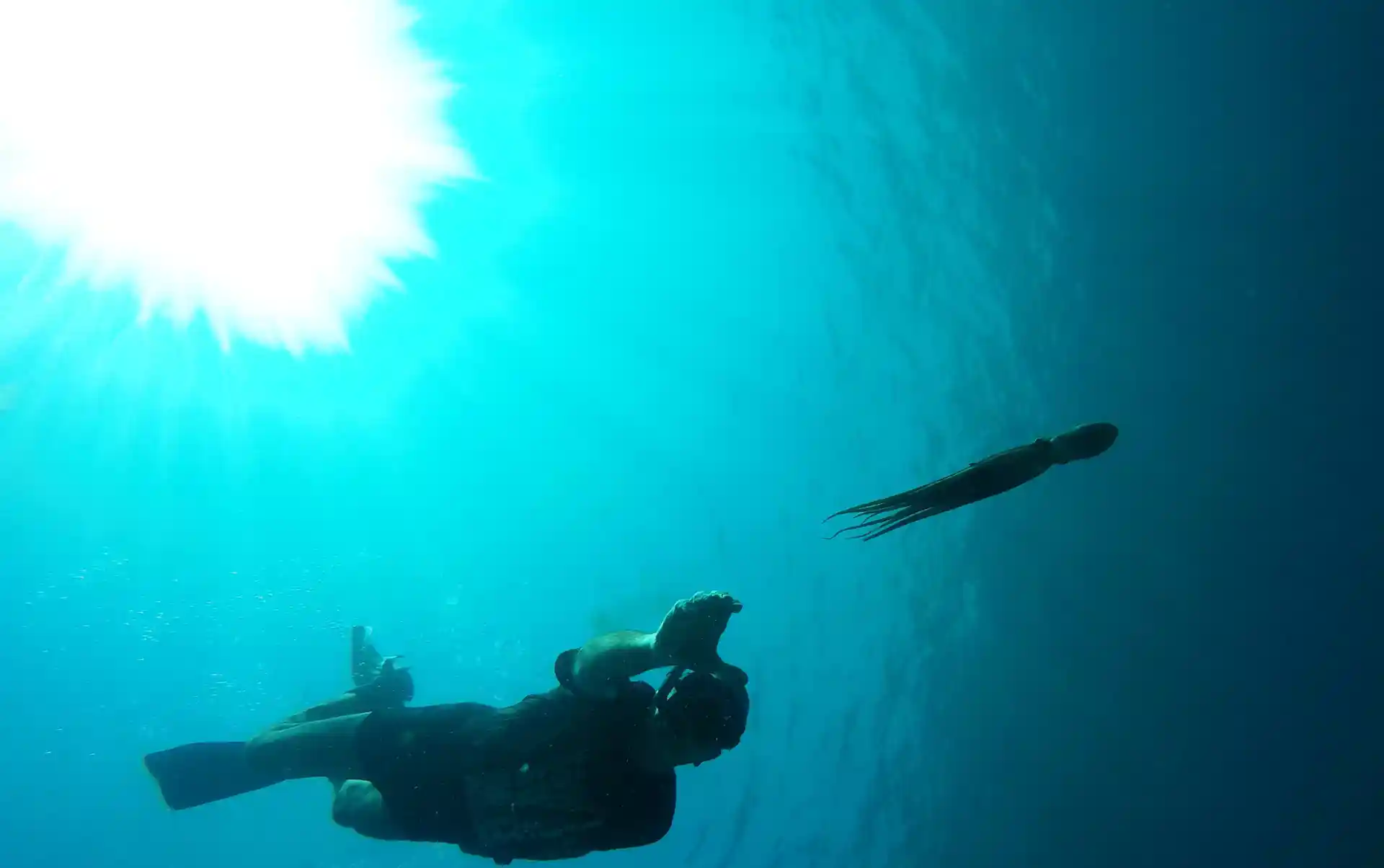 Dive shop photo