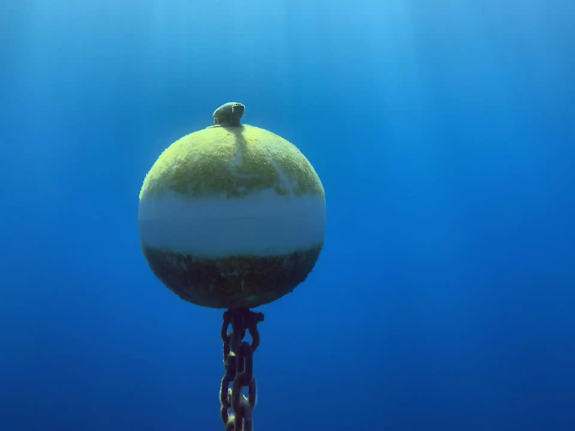 다이빙 포인트 사진