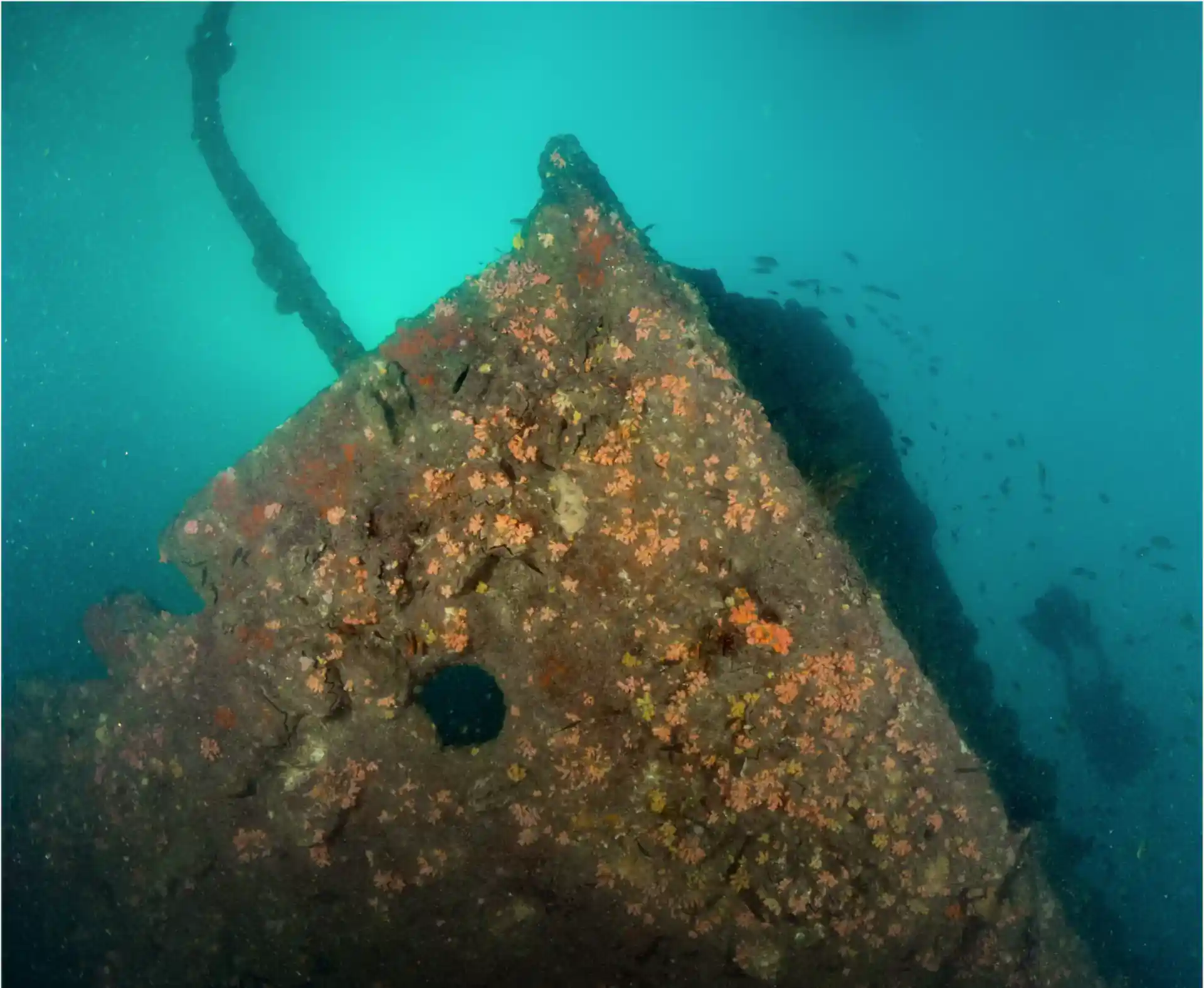Dive site photo