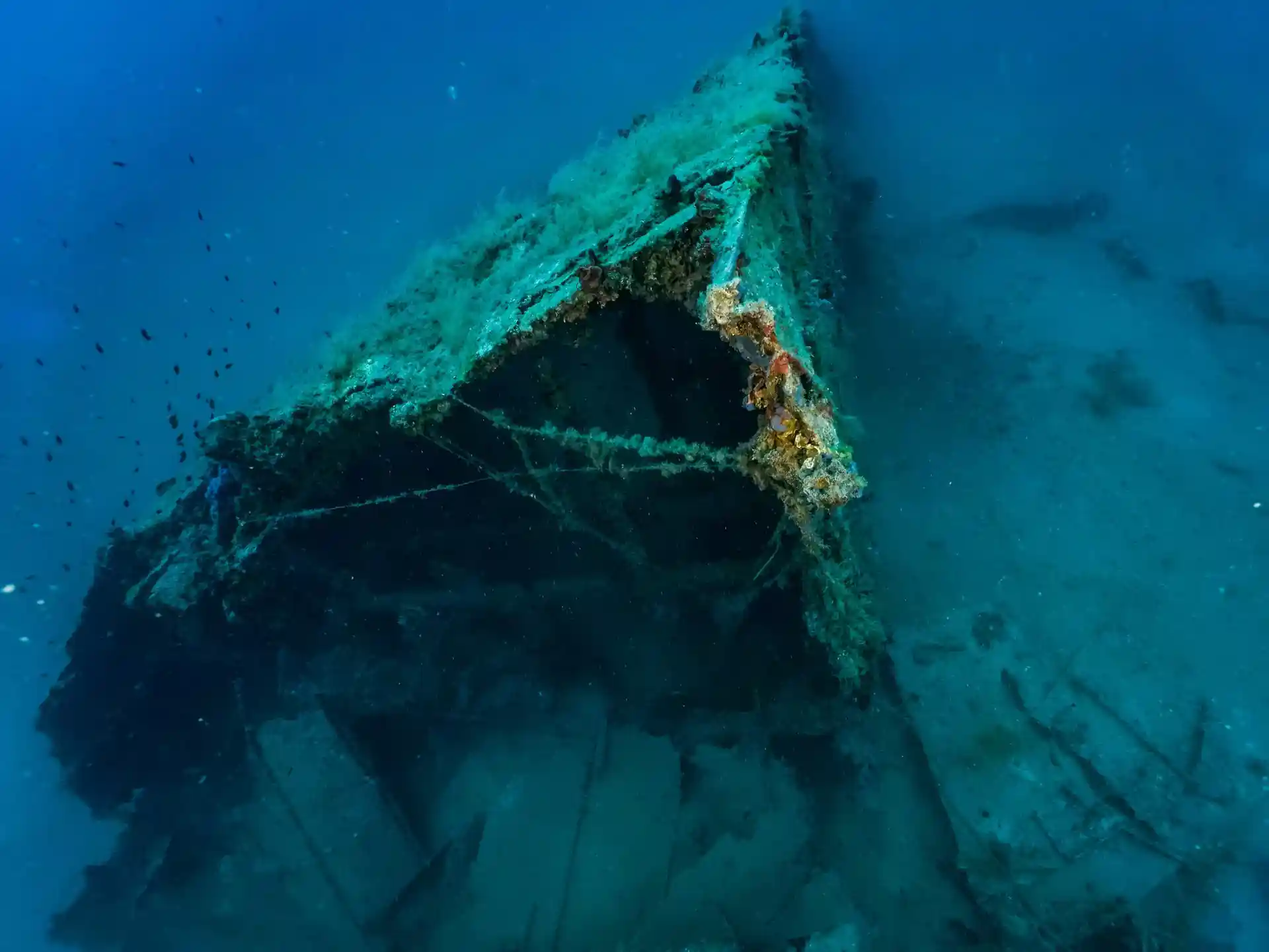 ダイビングサイトの写真