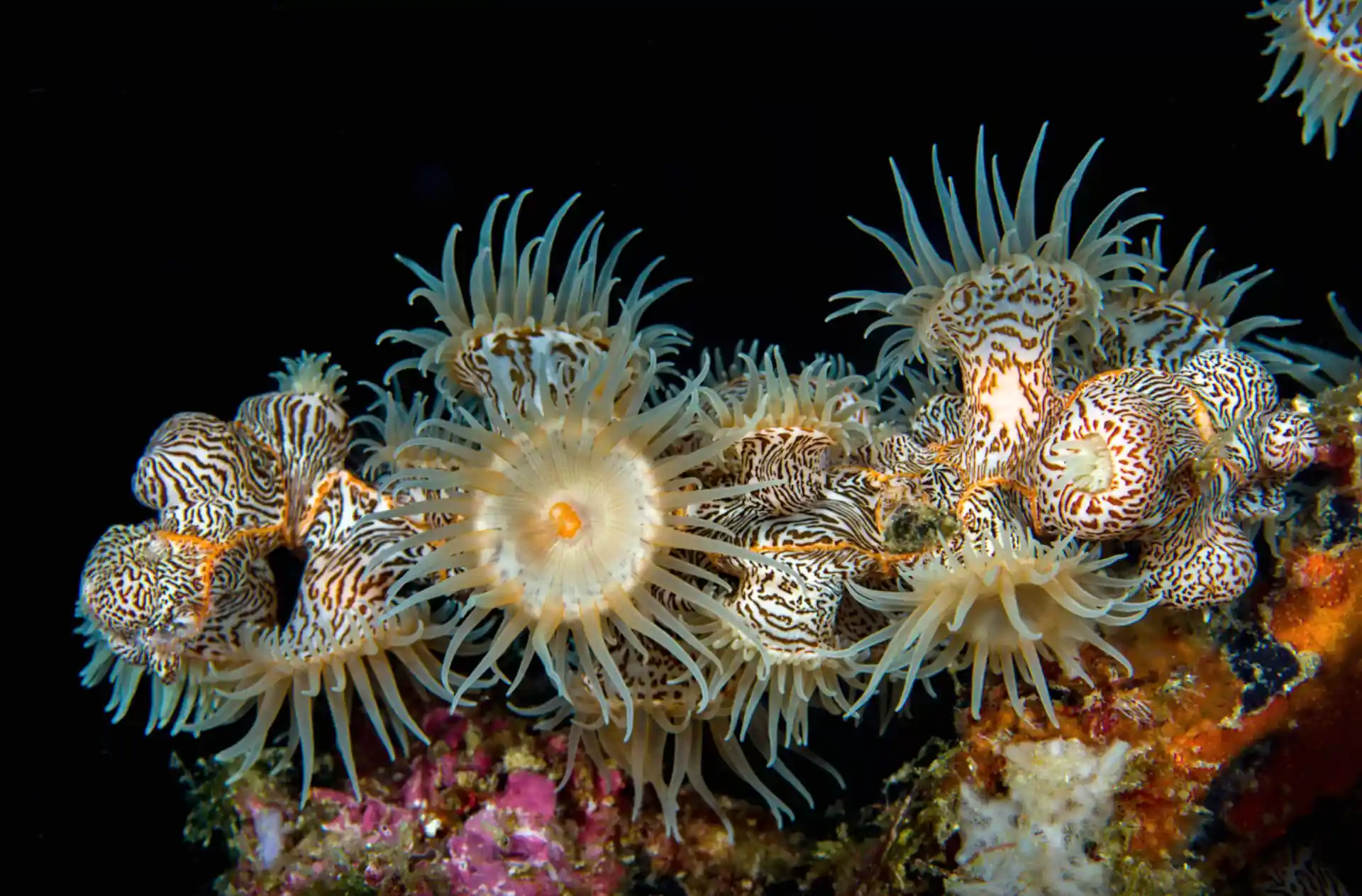 Dive site photo