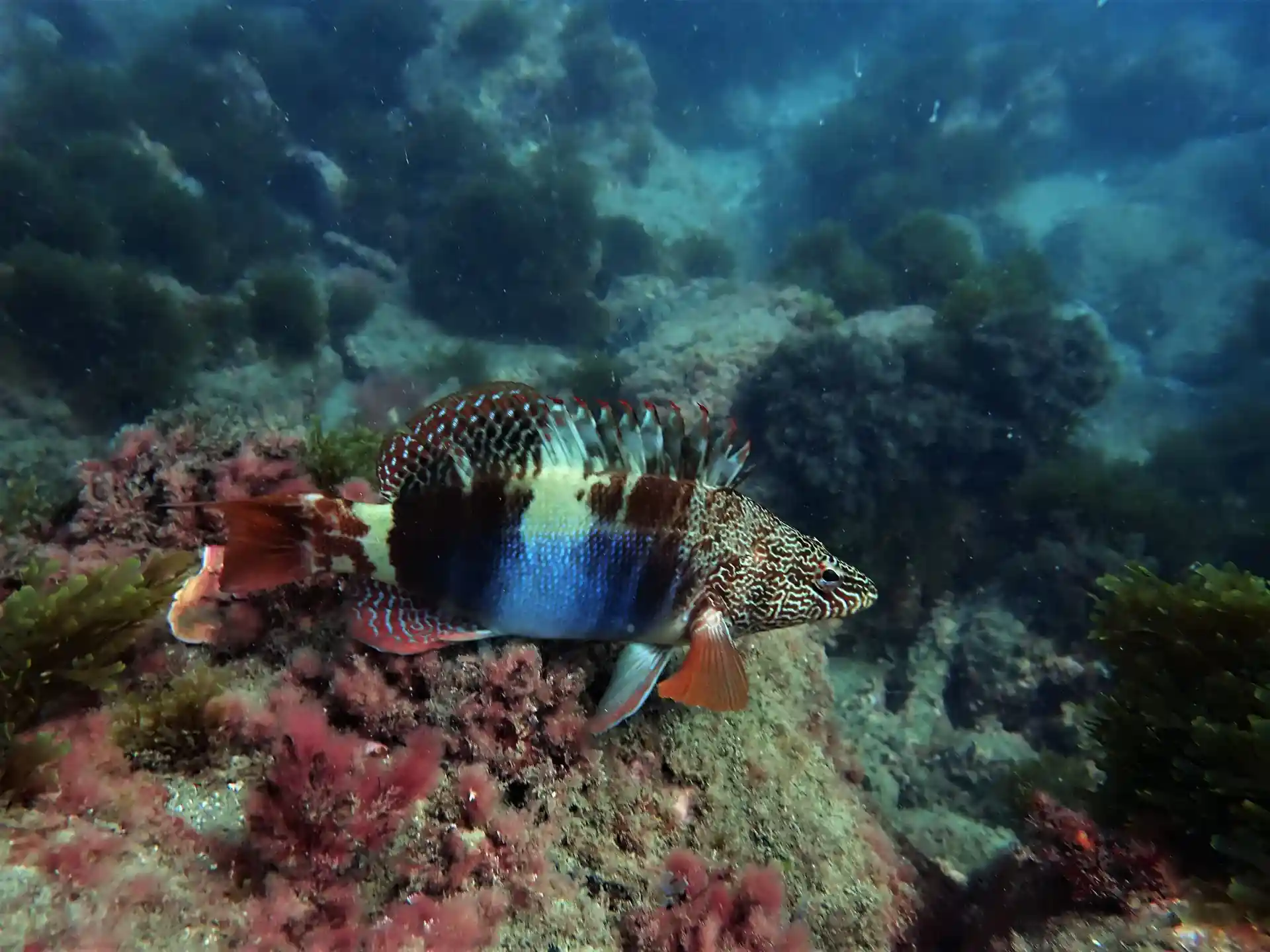 Dive site photo