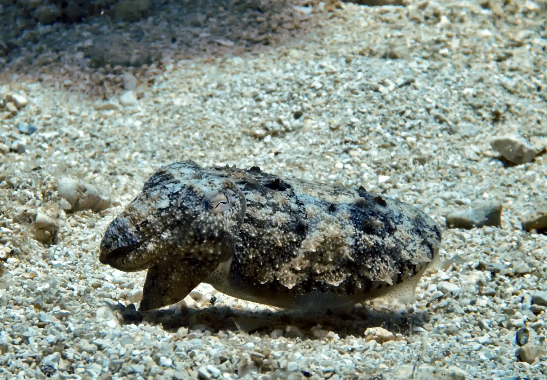 Dive site photo