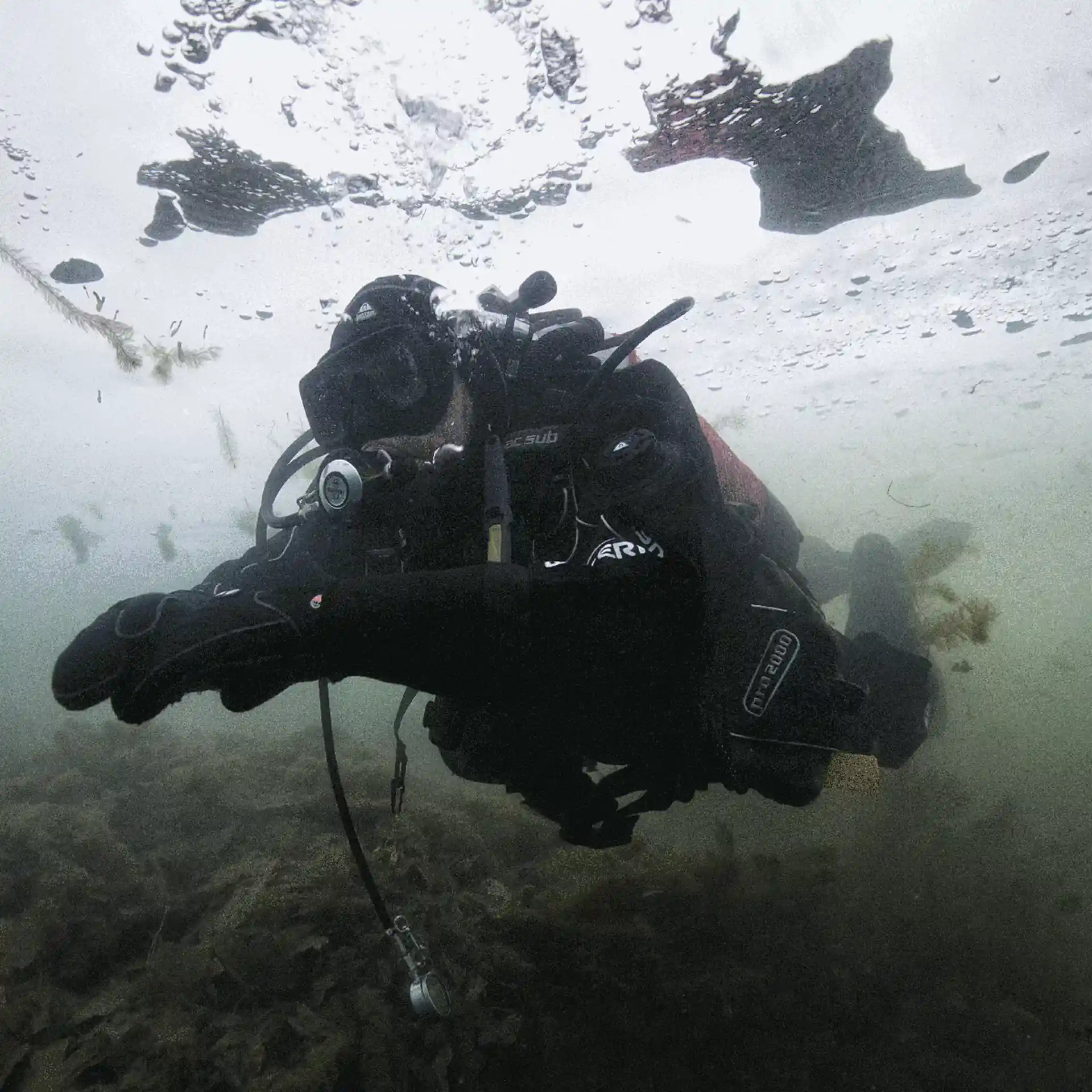 Foto de la actividad