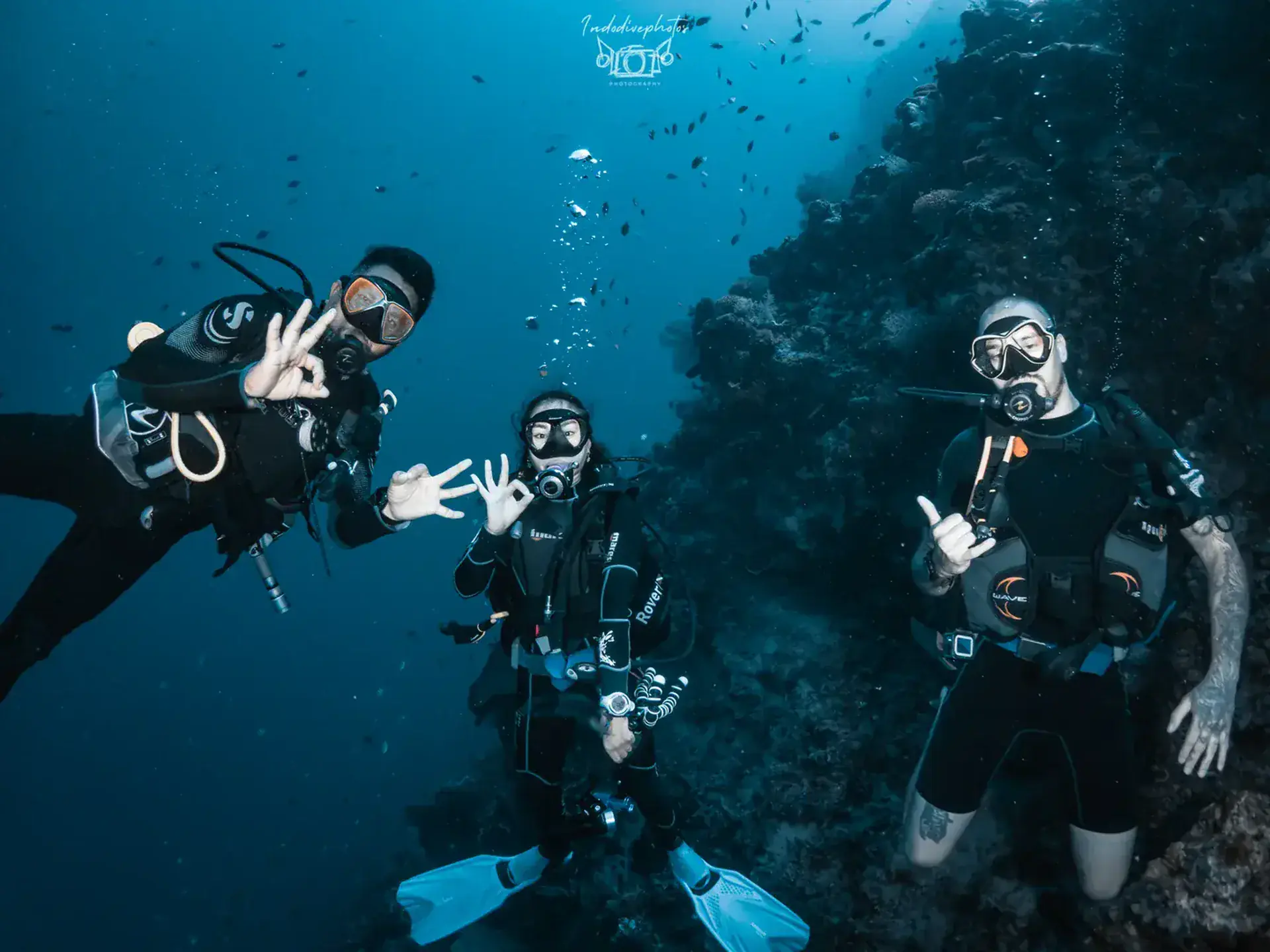 Deep dive at Menjangan Island