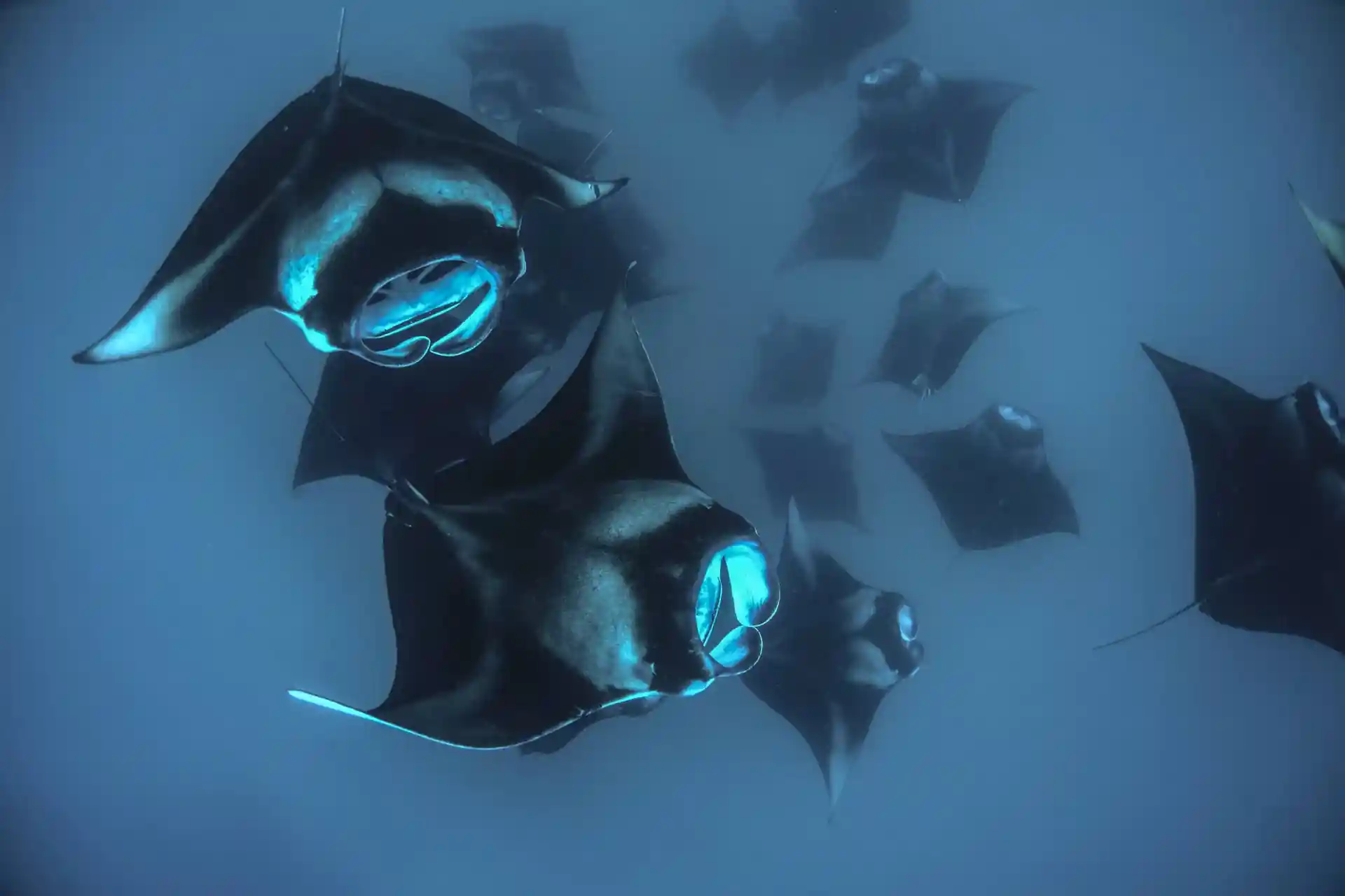 Dive shop photo