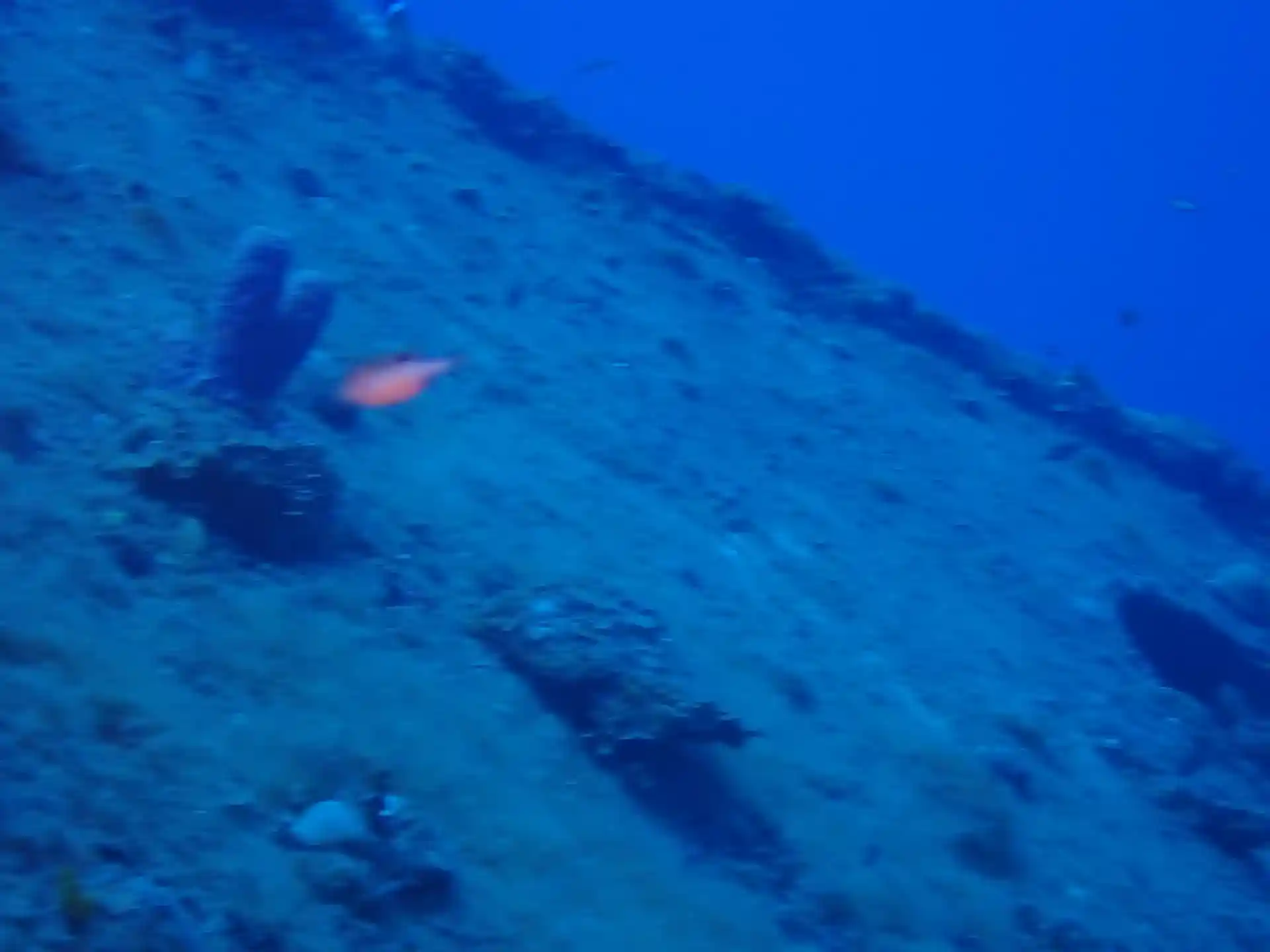 Dive site photo