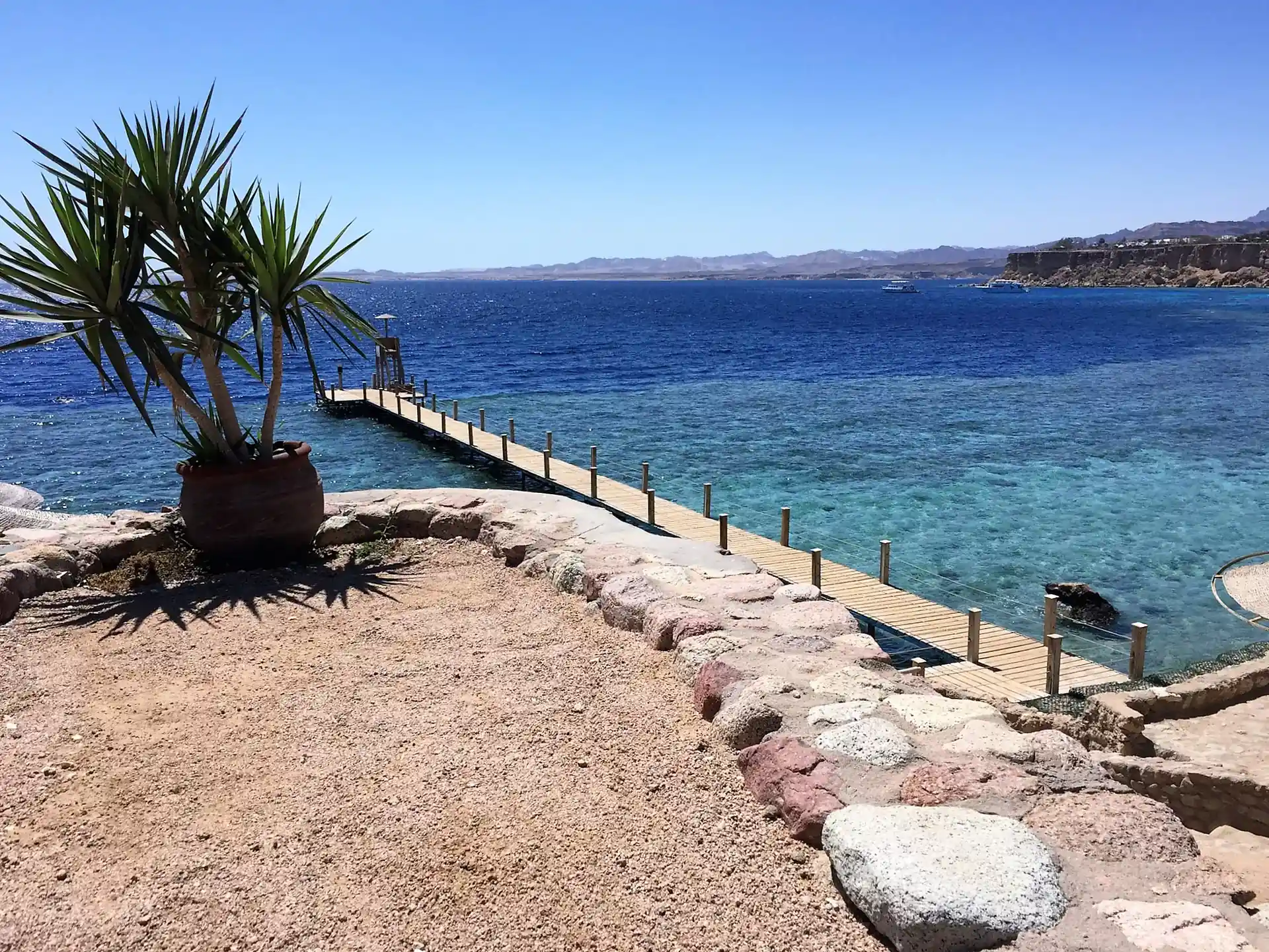 Photo de l'activité