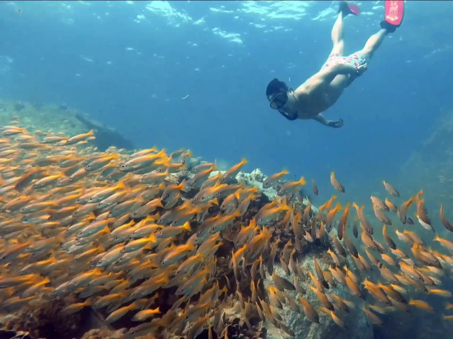 Foto van de duiklocatie