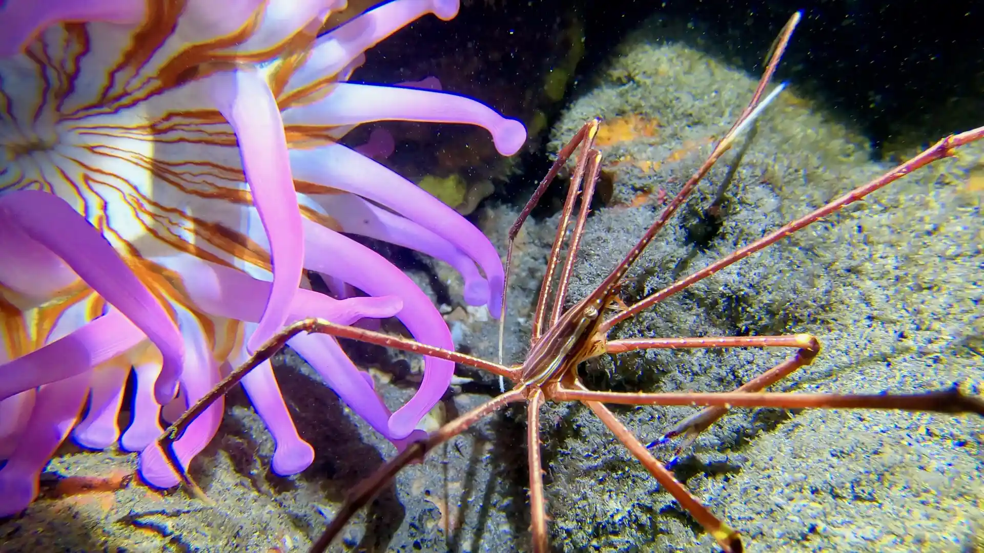 Foto de la actividad