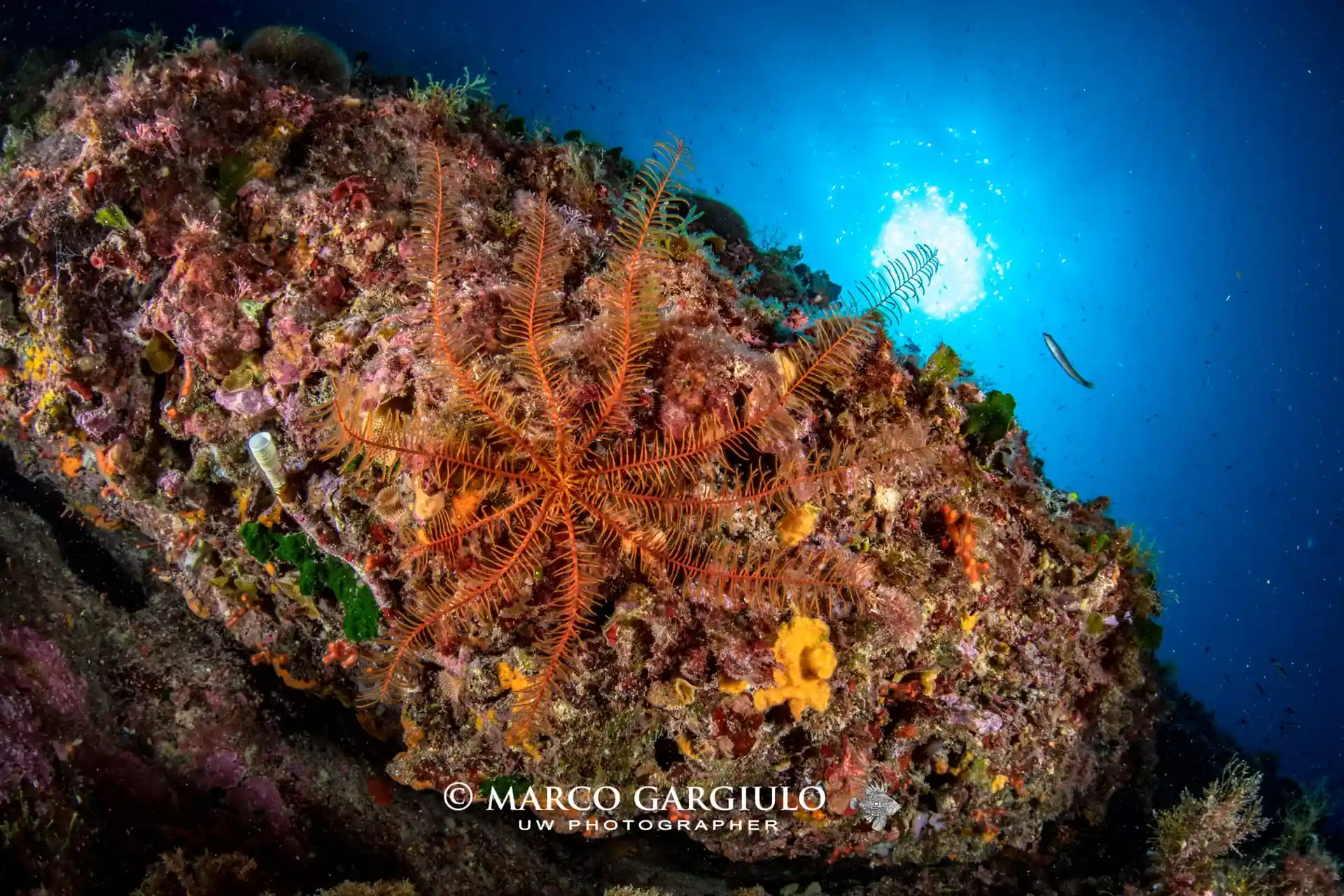 Foto des Tauchplatzes