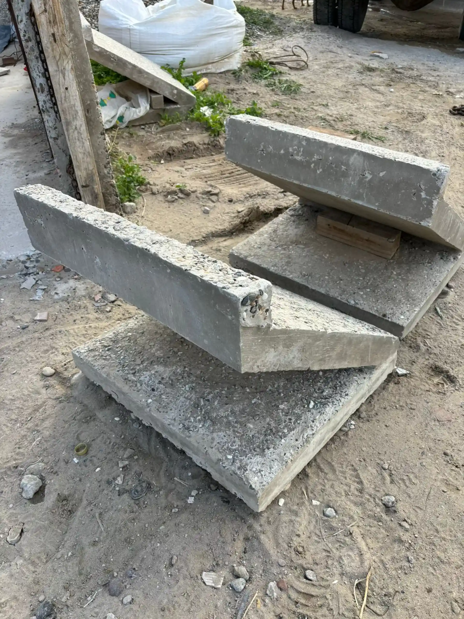 活动照片