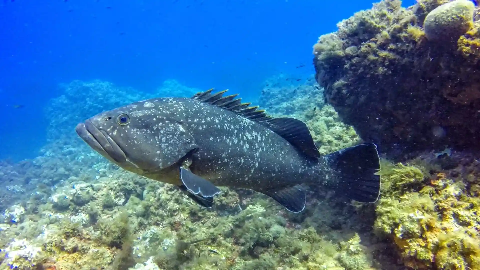 Foto de la actividad