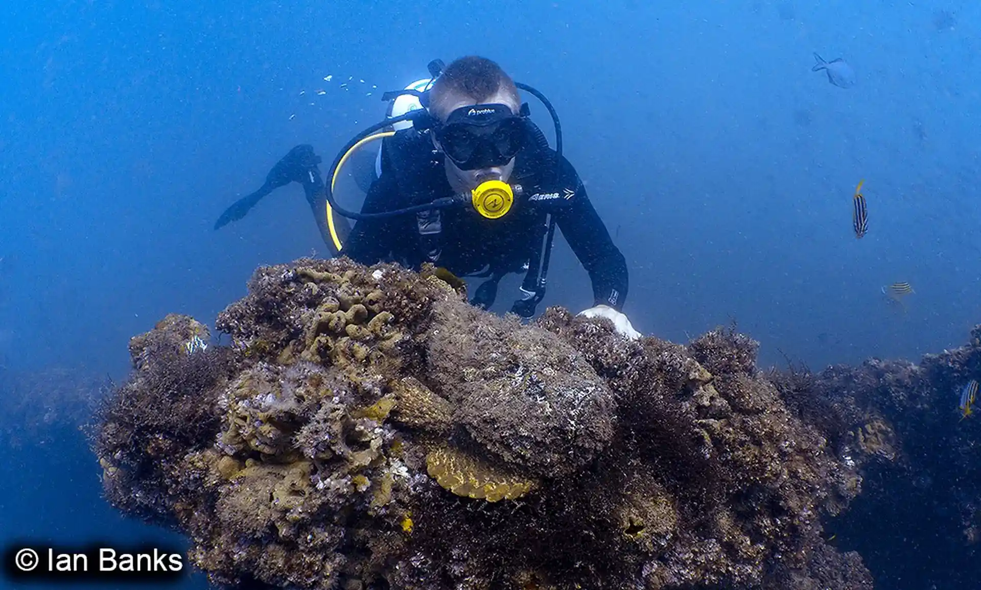 Dive site photo