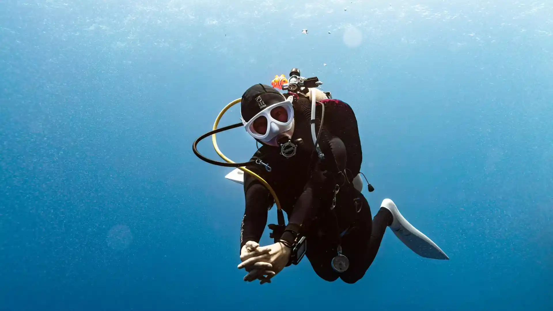 Dive shop photo
