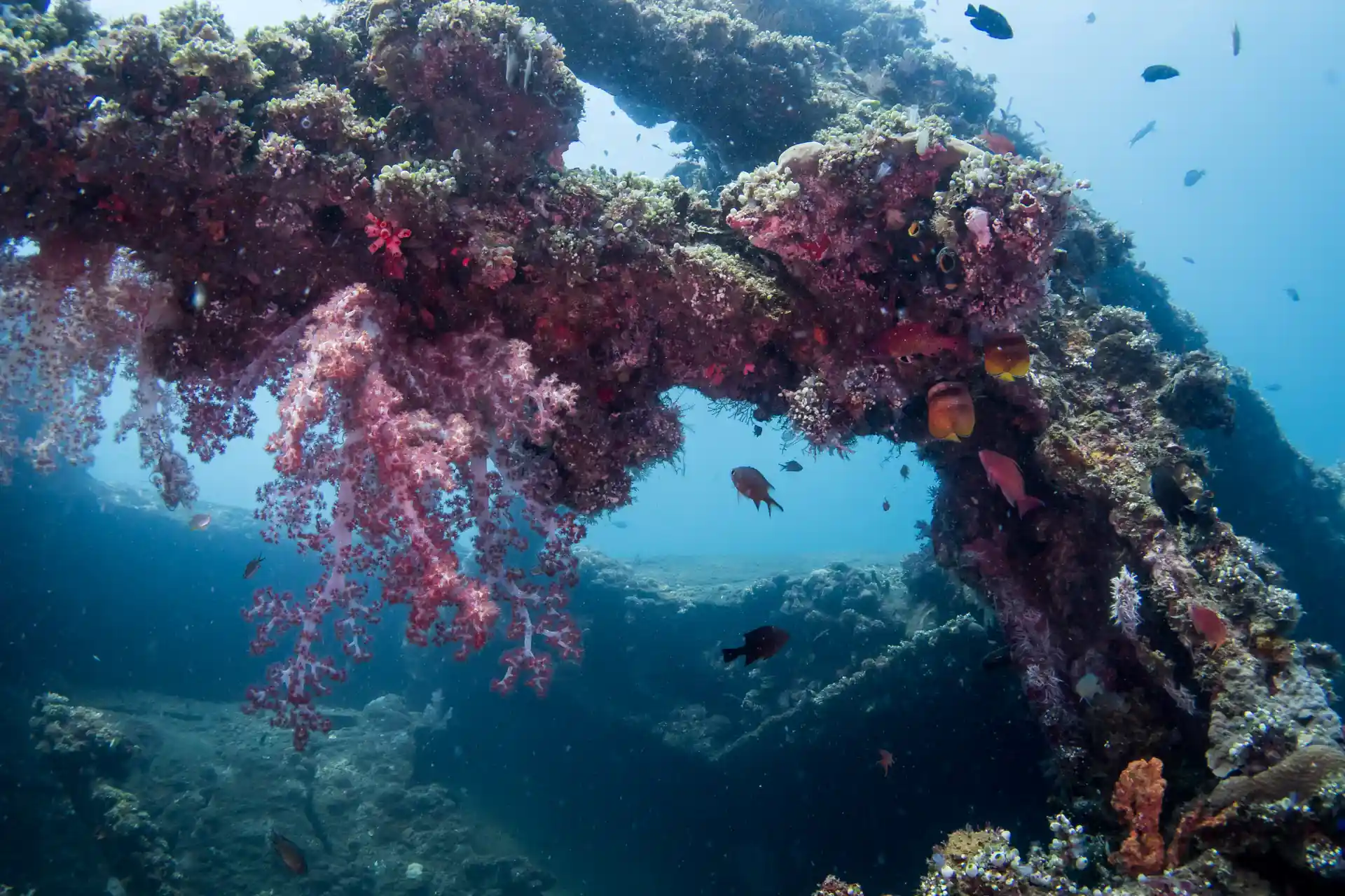 Photo de l'activité