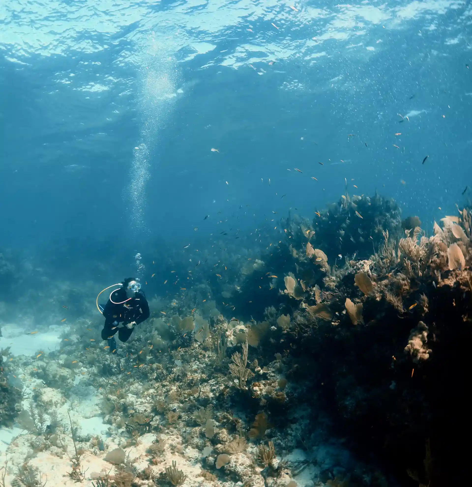 Foto de la actividad