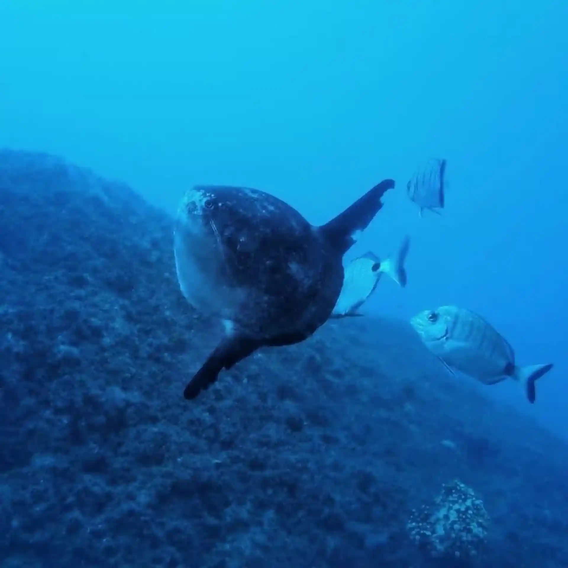 Dive site photo