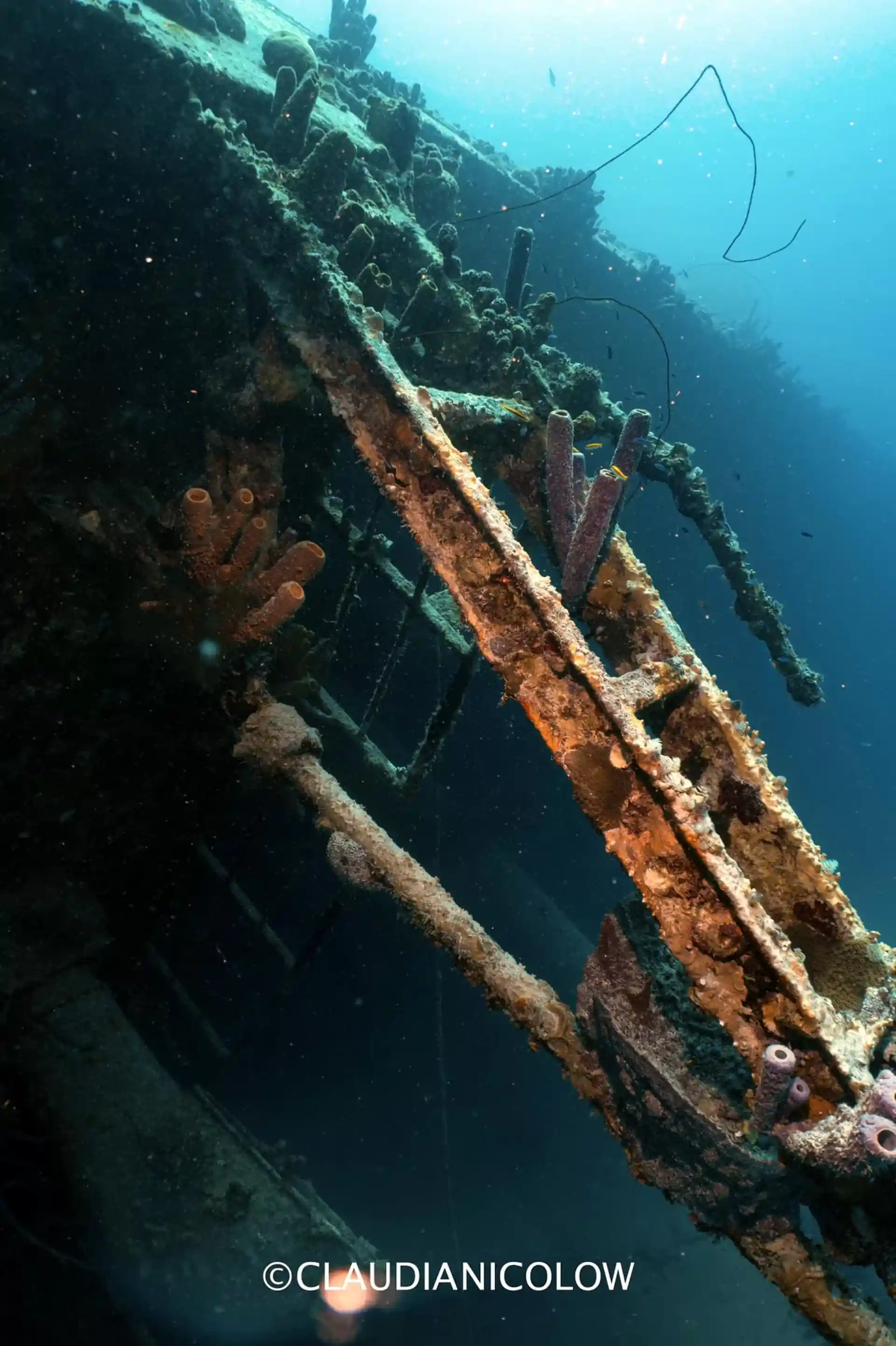 Foto de la actividad