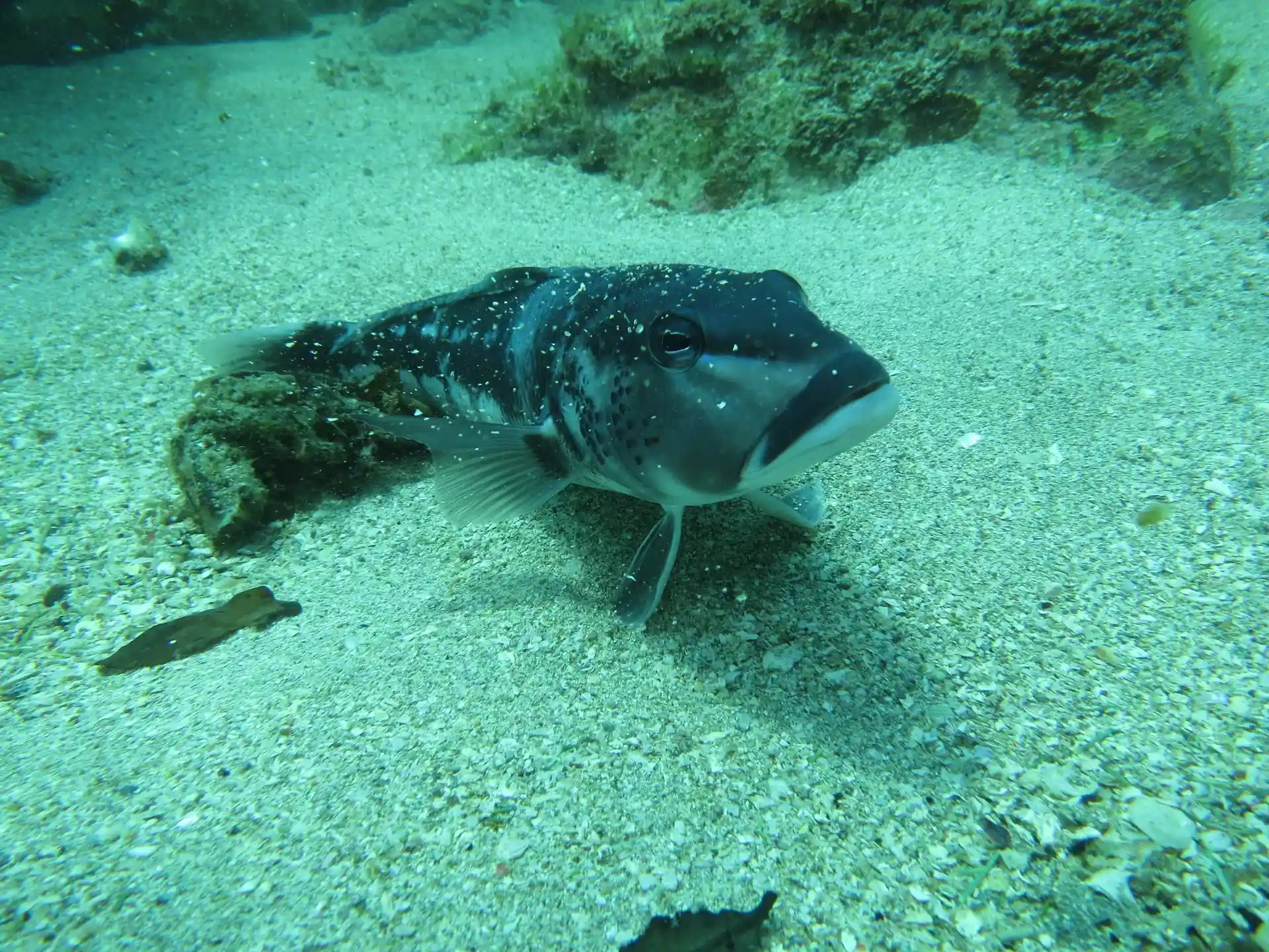 다이빙 포인트 사진