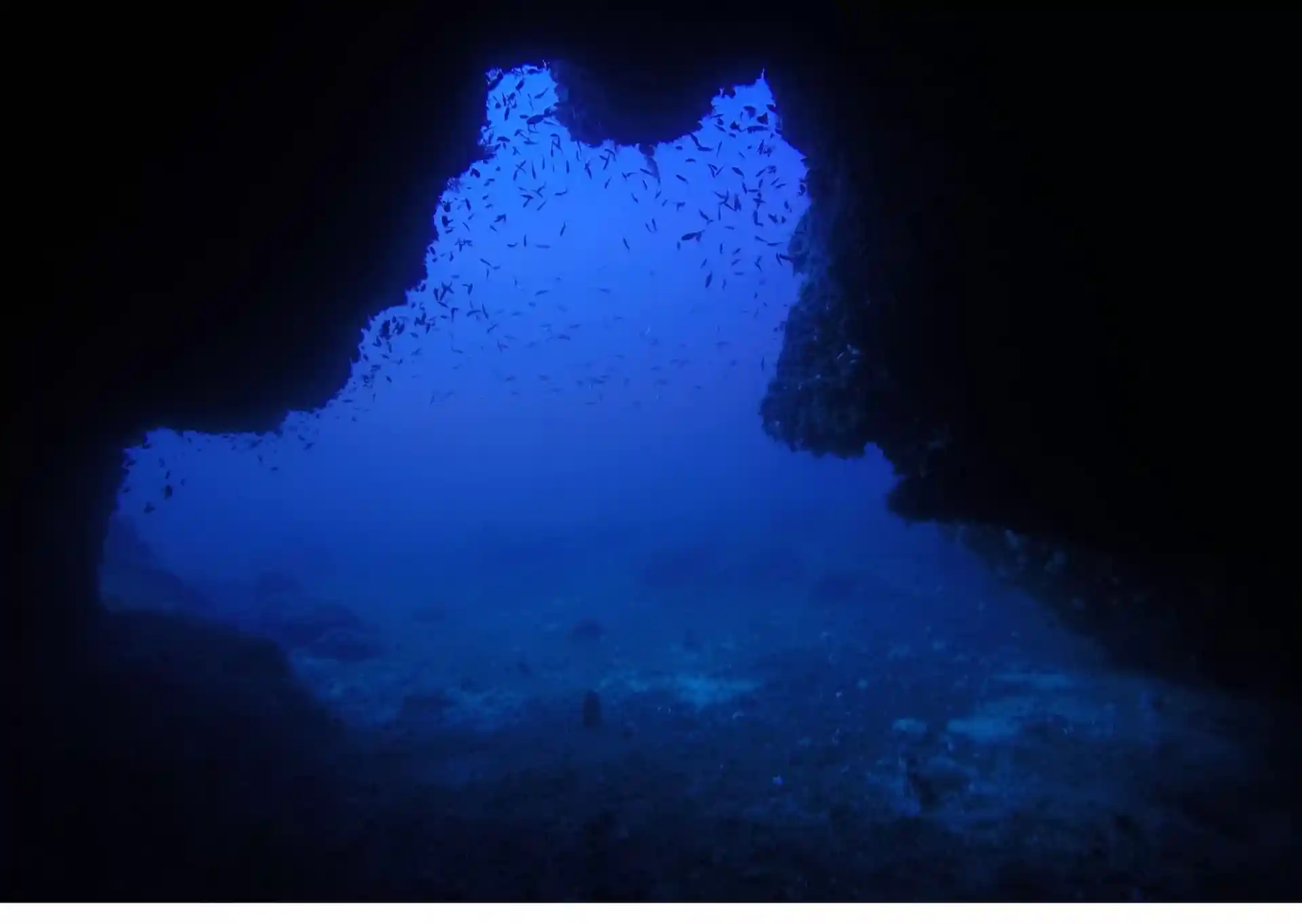 Foto de la actividad