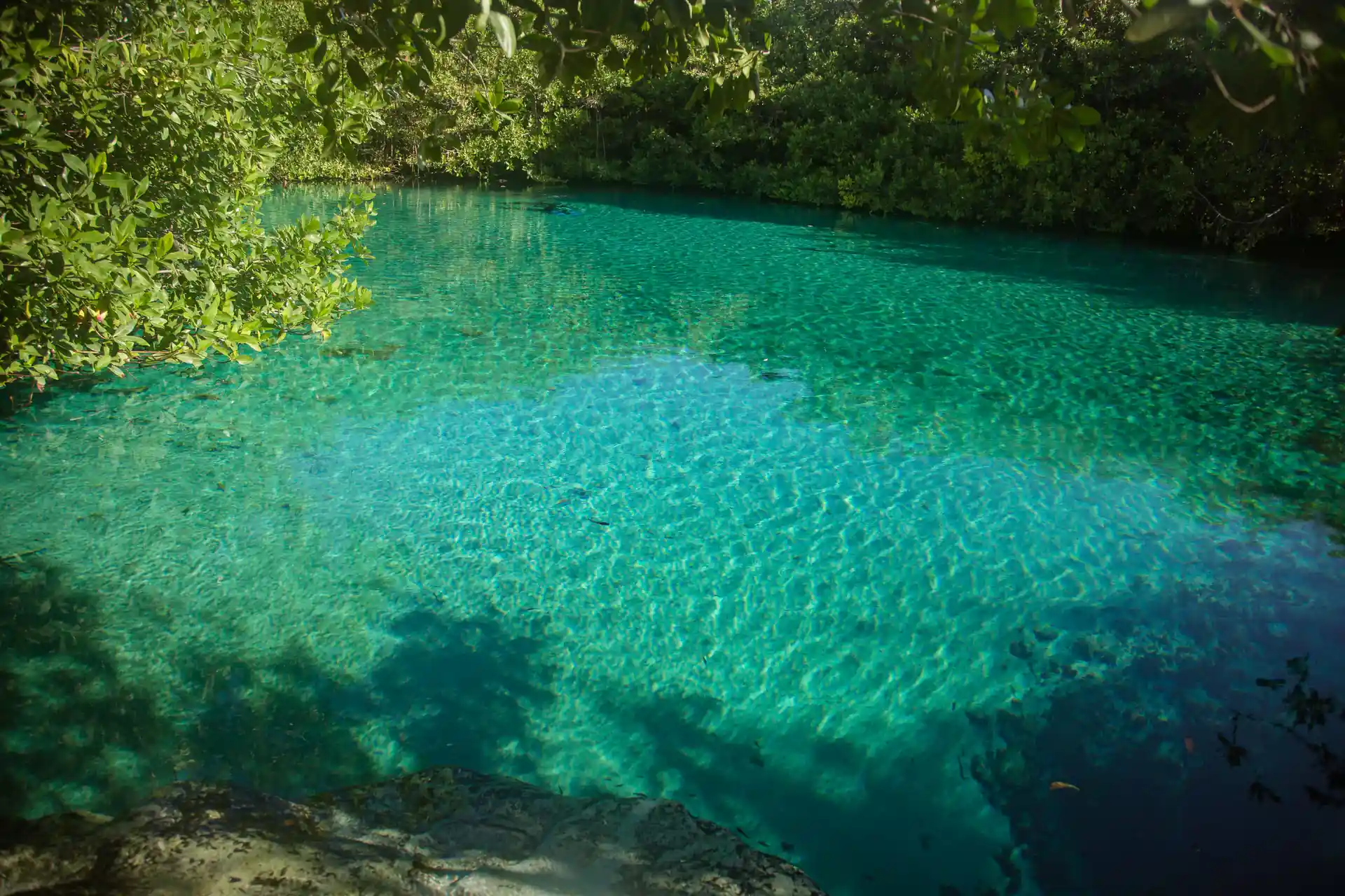 Photo de l'activité