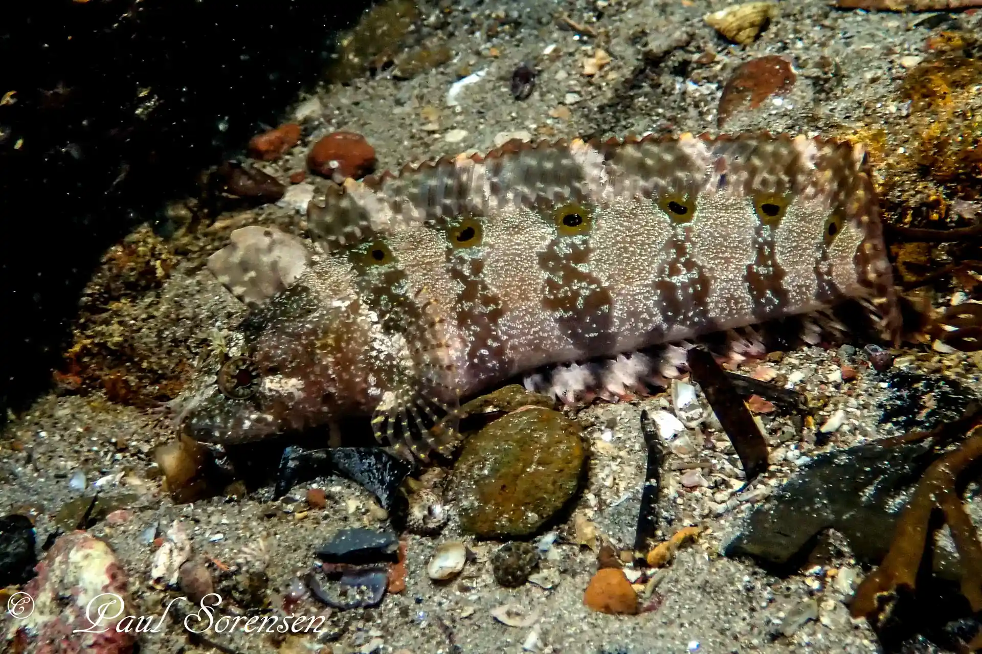 Dive shop photo