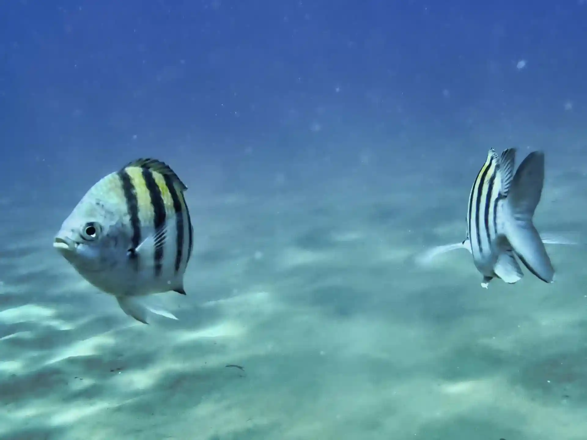 Dive site photo