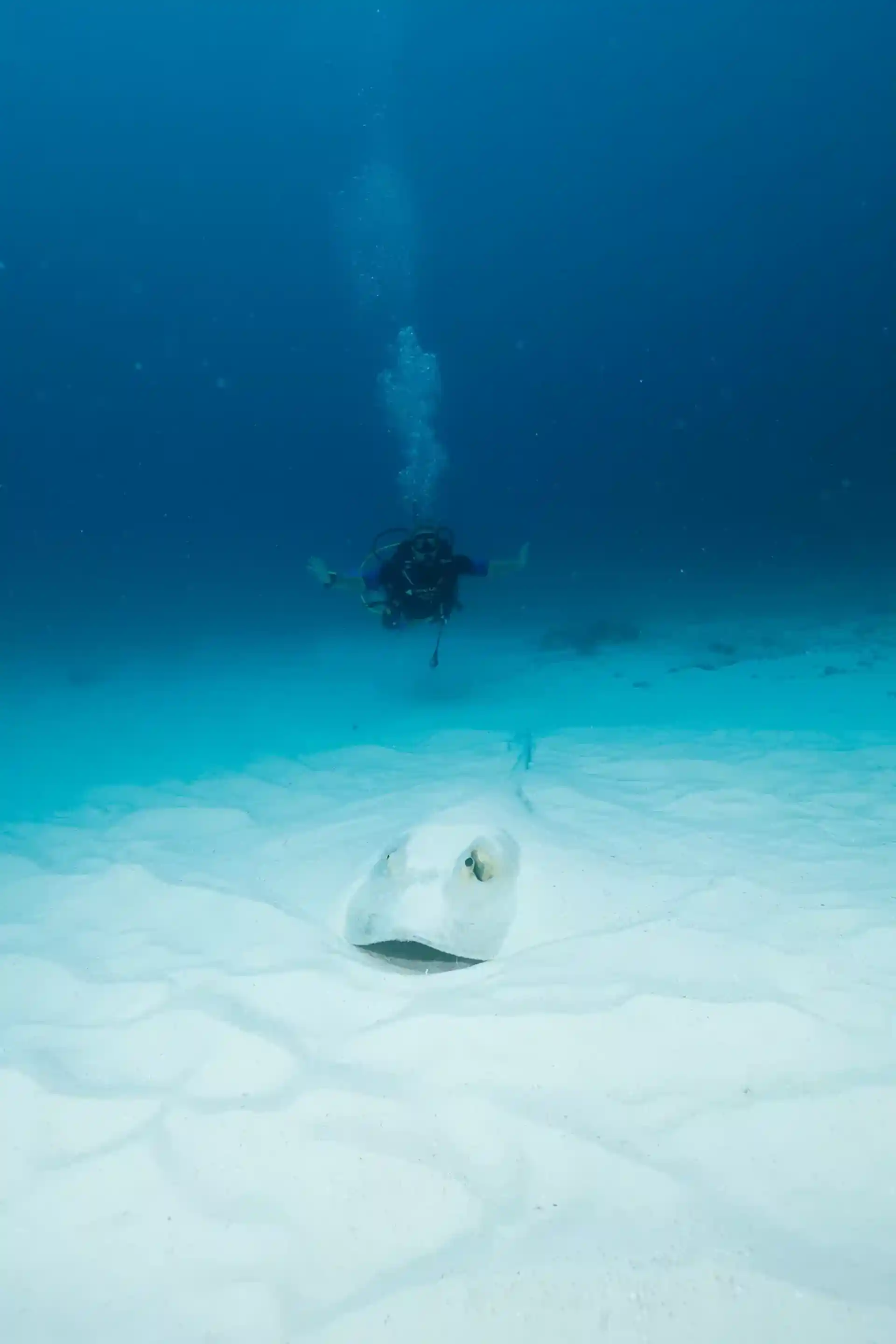 Dive site photo
