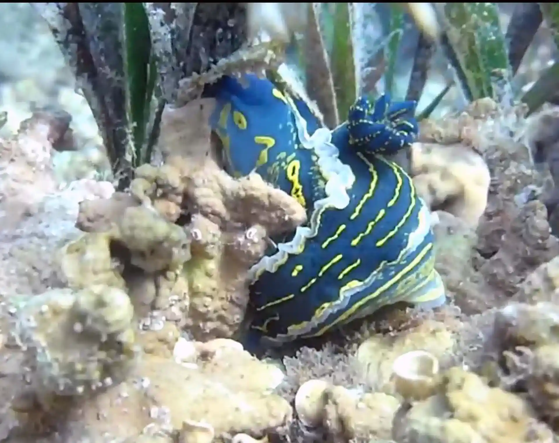 Foto del sitio de buceo
