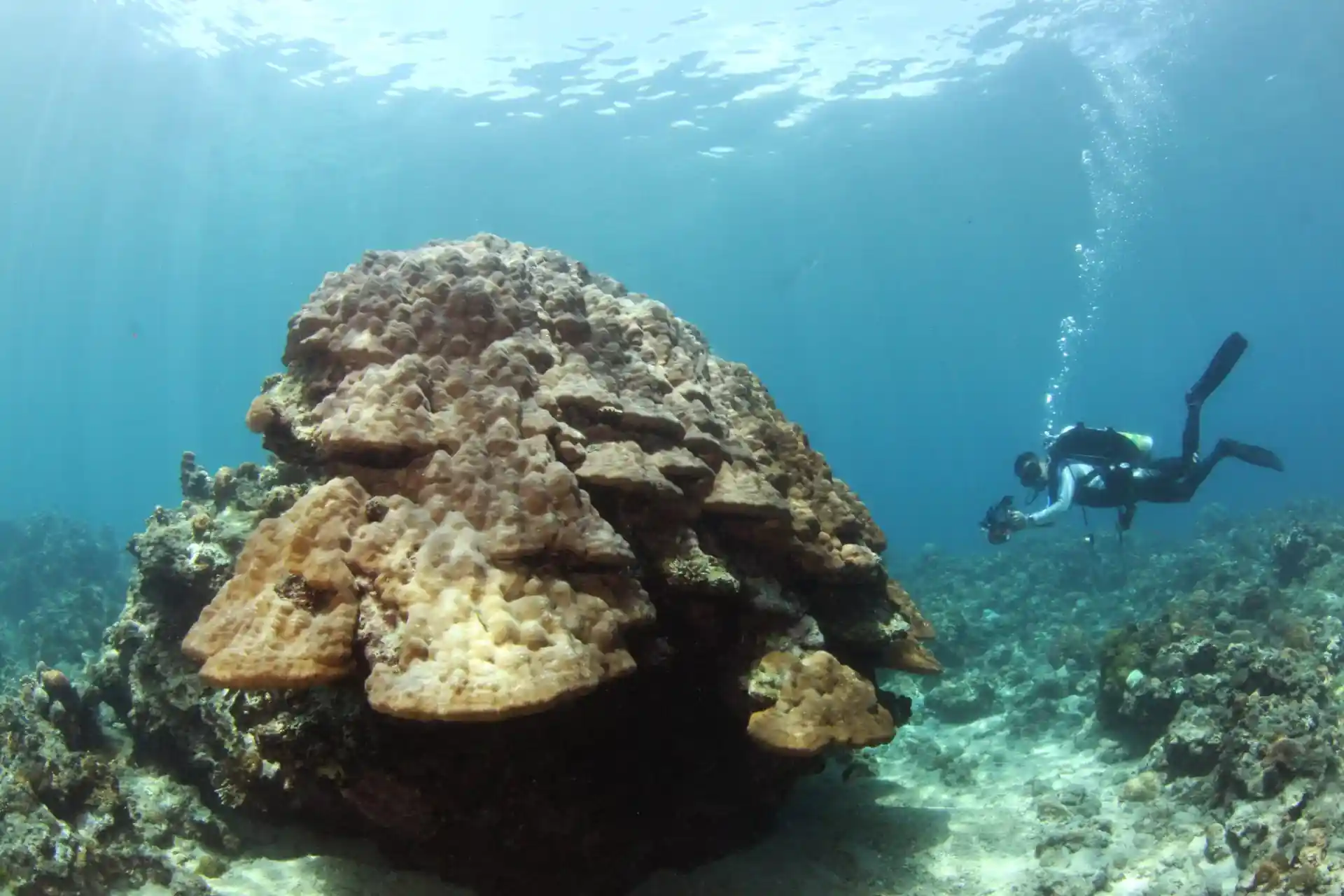 Dive site photo
