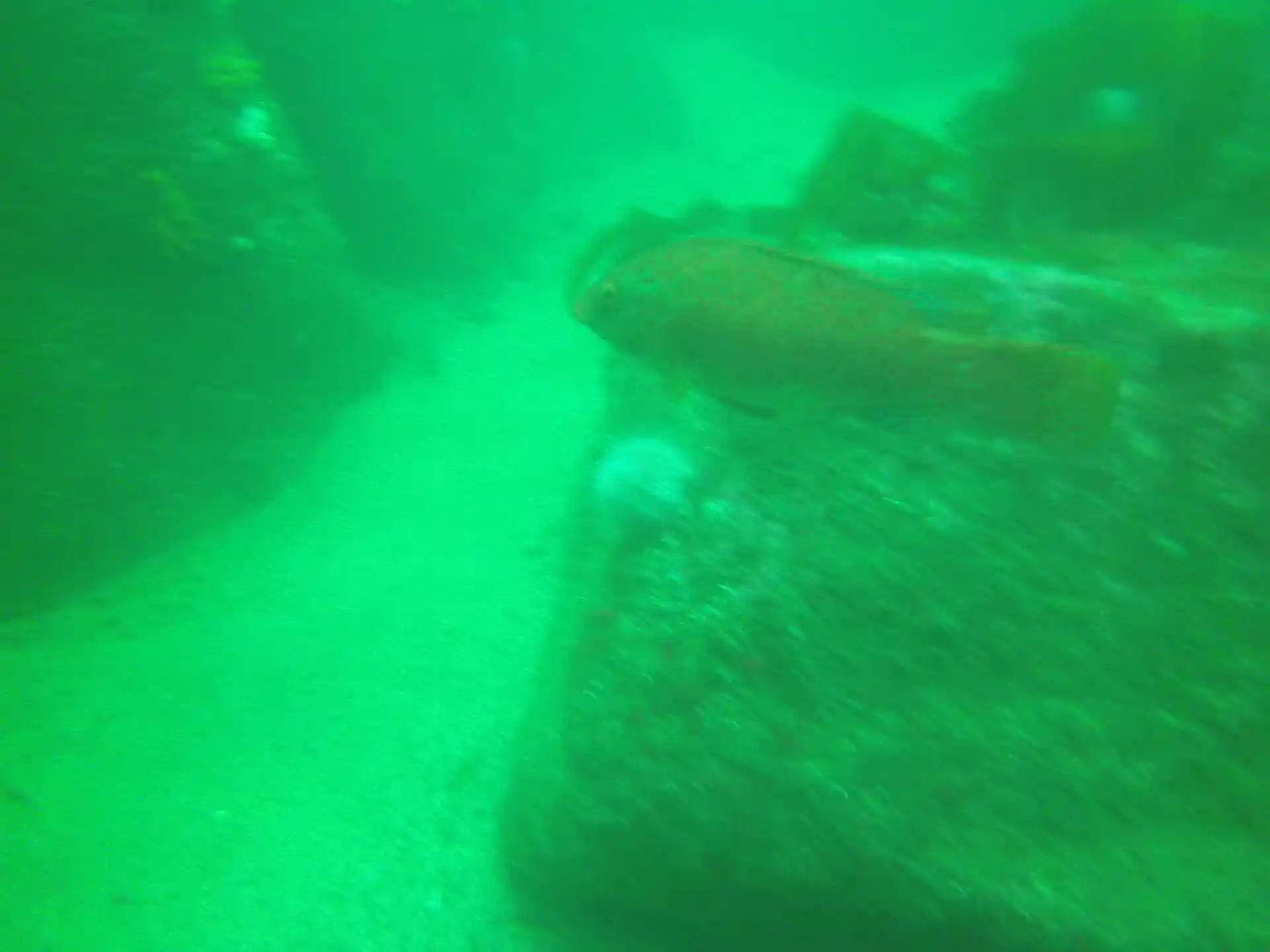 Dive site photo