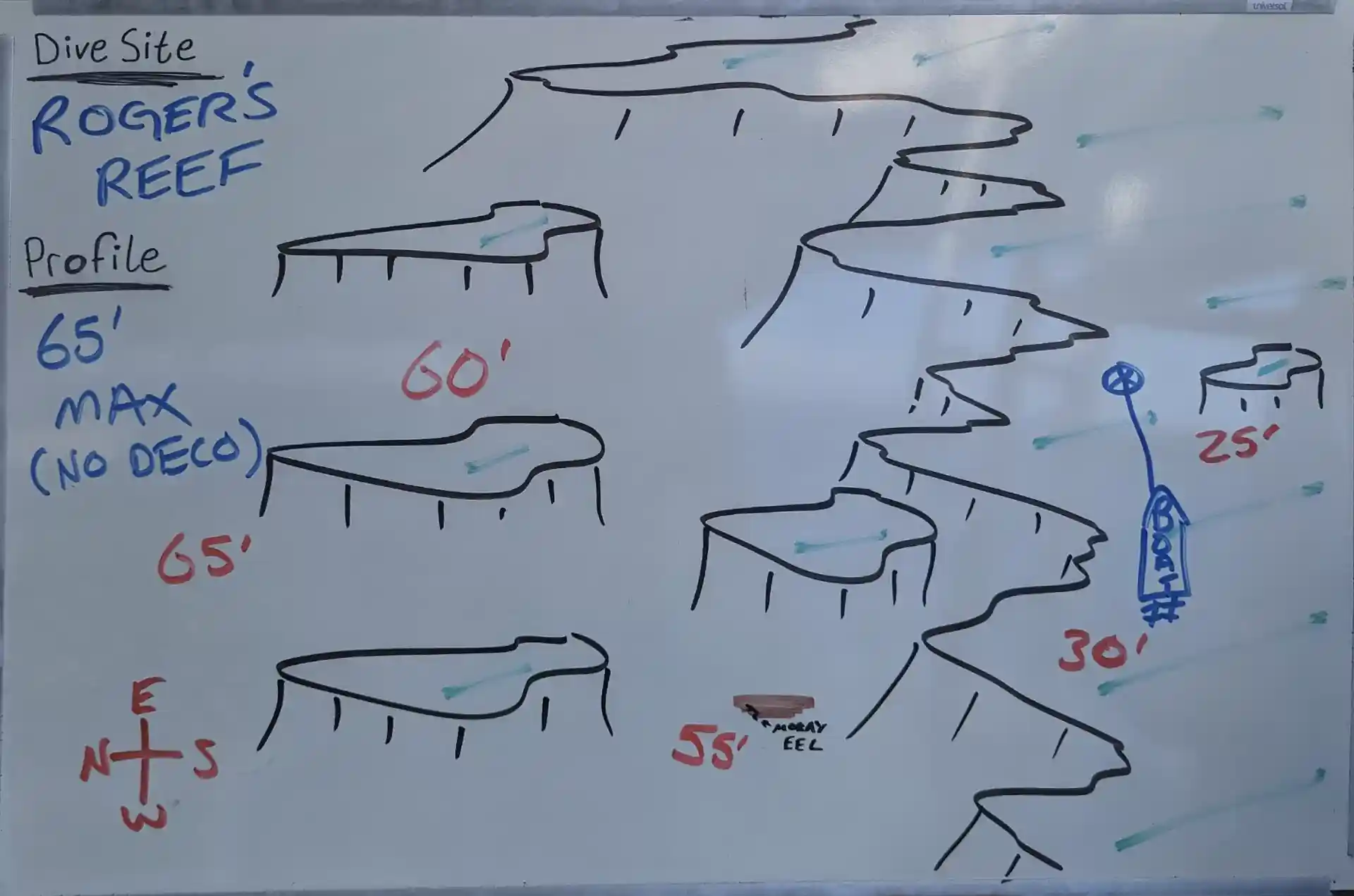 Dive site photo