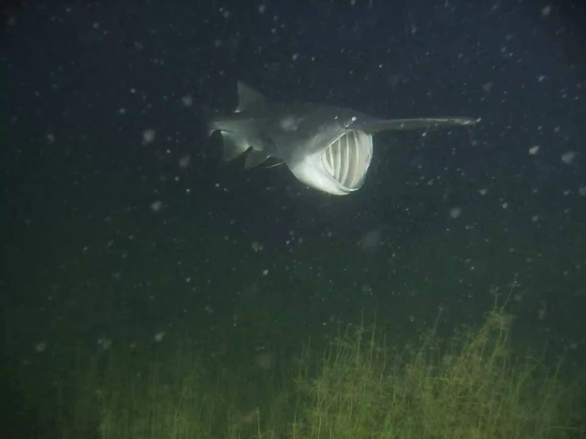Dive site photo