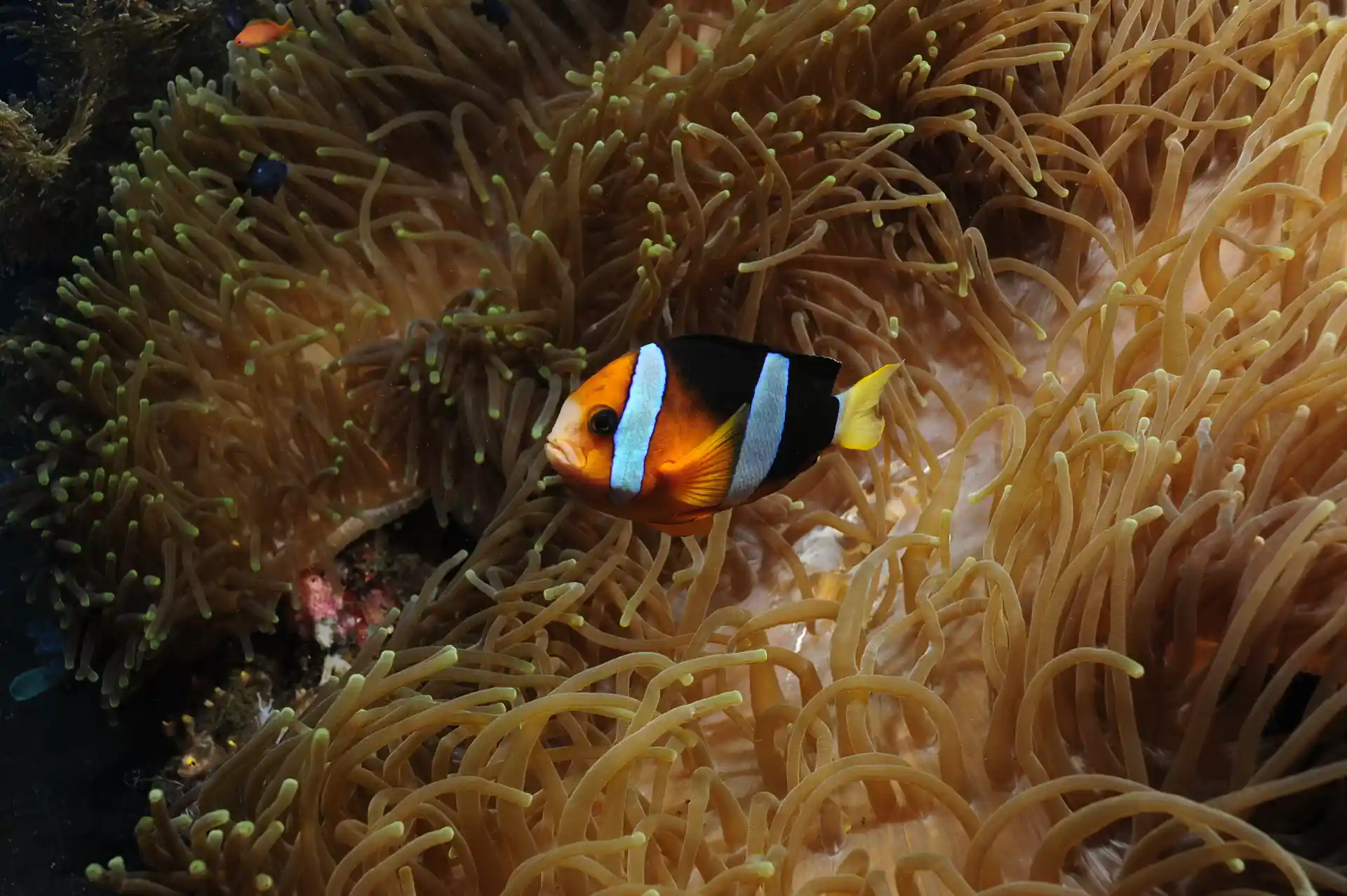 Photo de l'activité