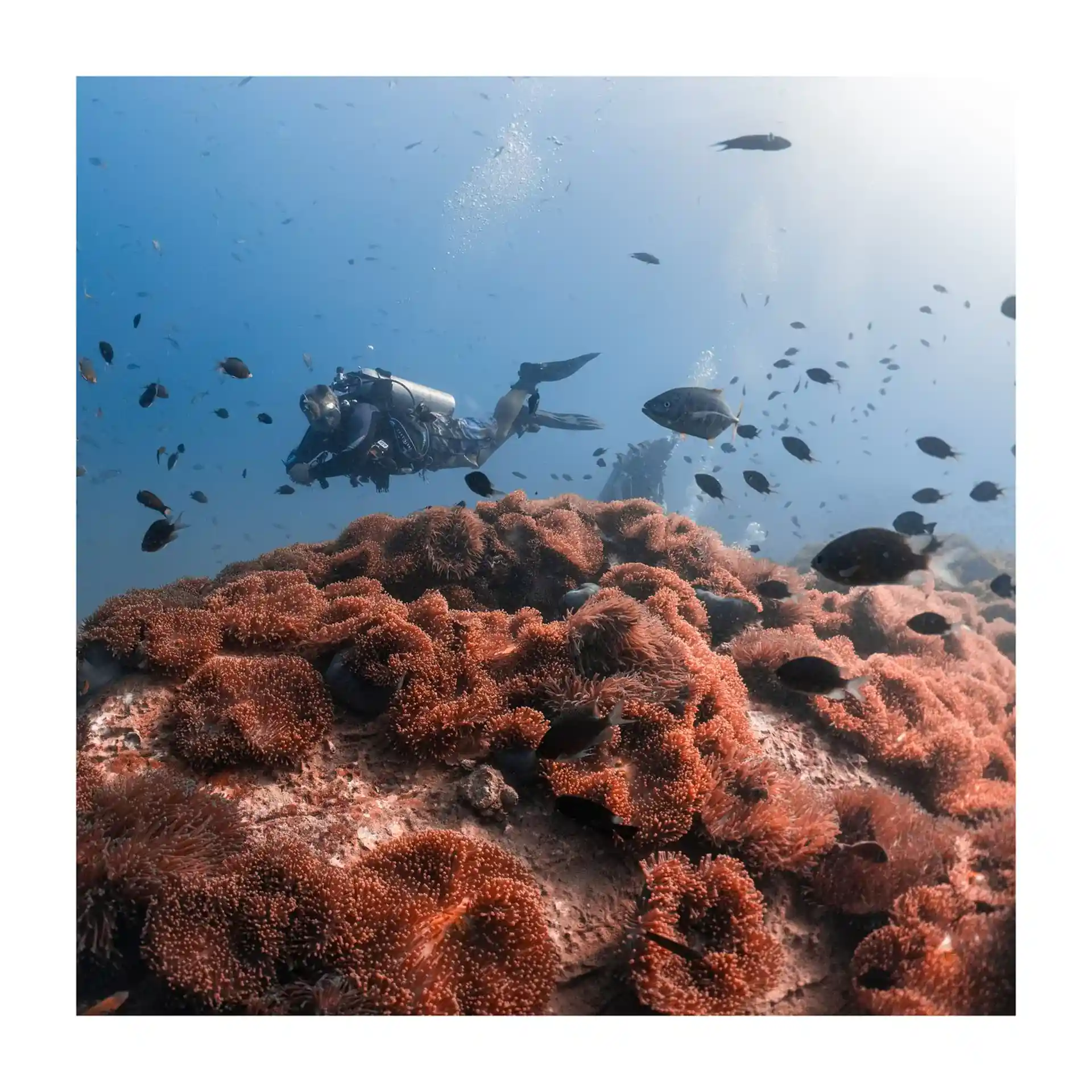 Foto del sitio de buceo