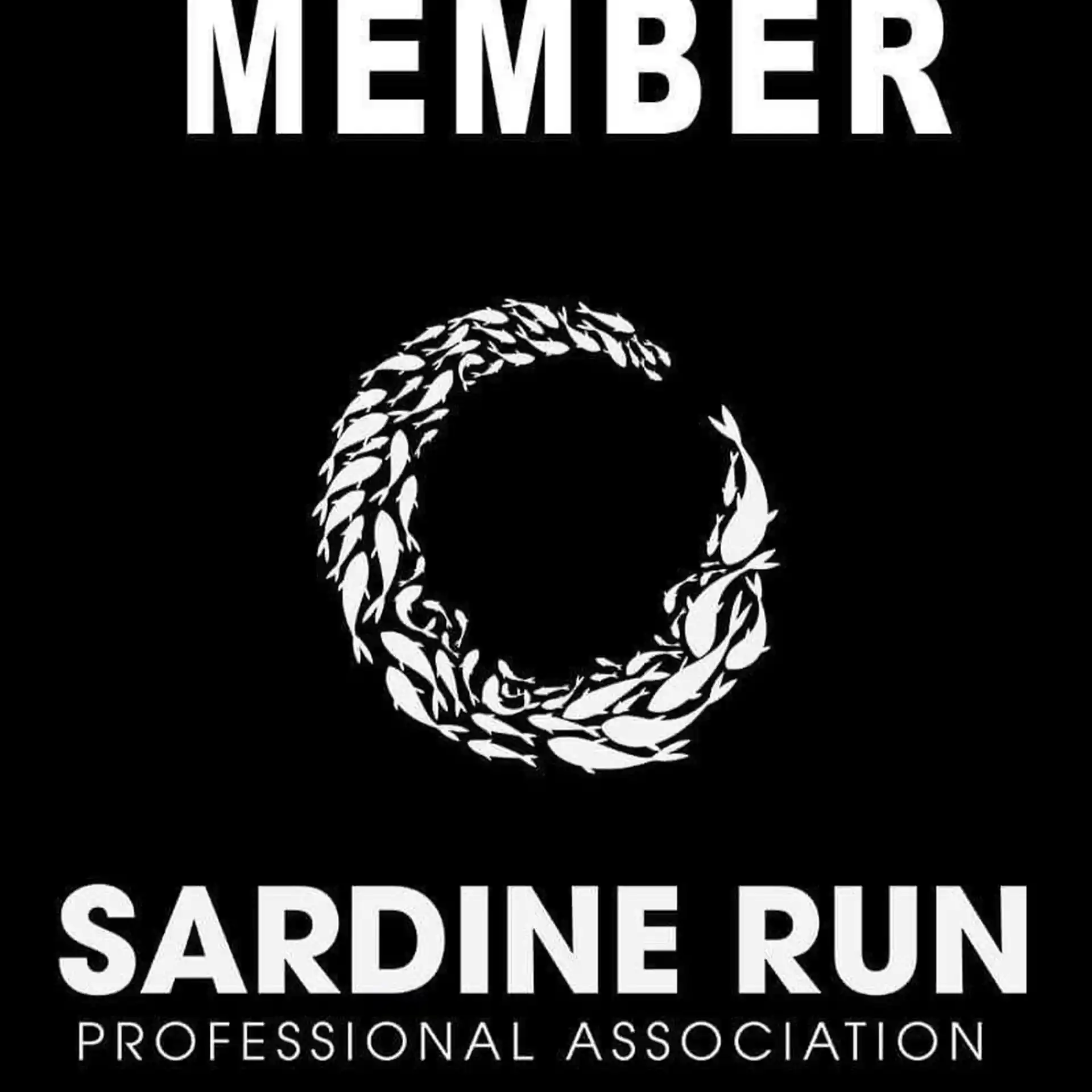 ダイビングサイトの写真