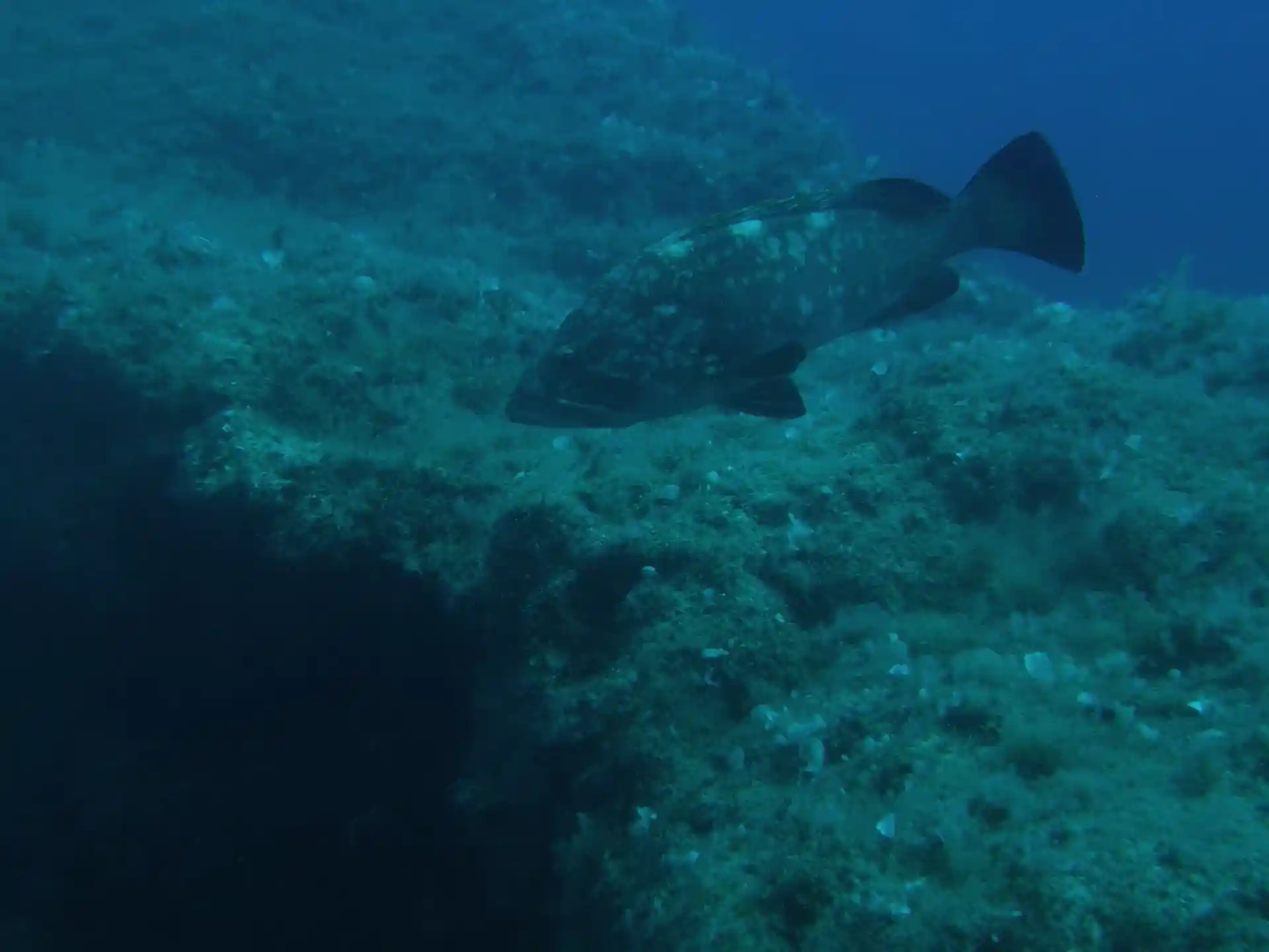 Dive site photo