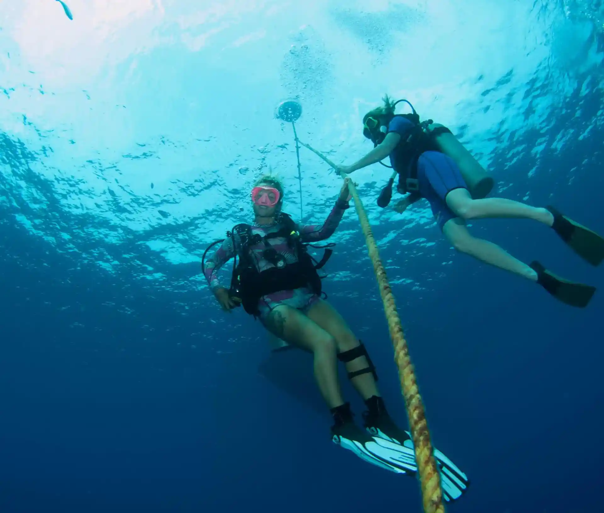Open Water Dives