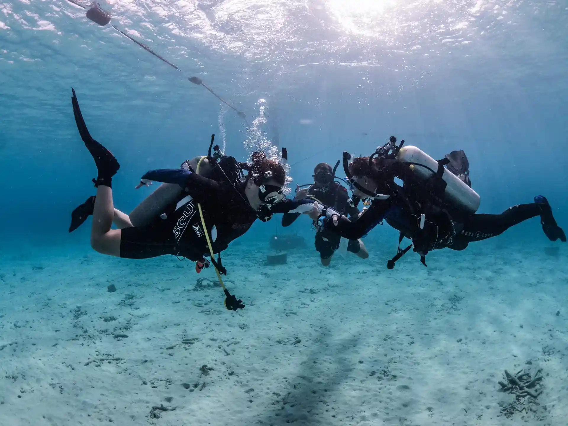 Foto de la tienda de buceo