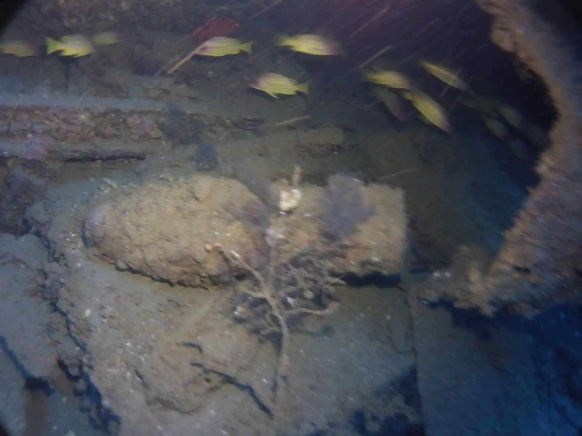 Dive site photo