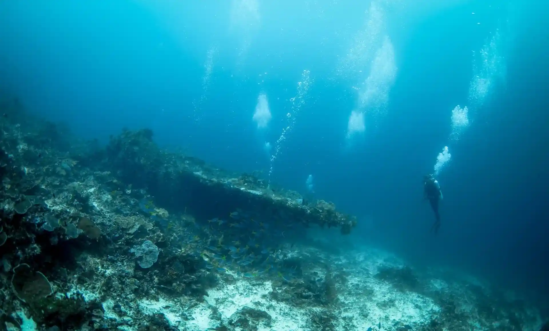 ダイビングサイトの写真