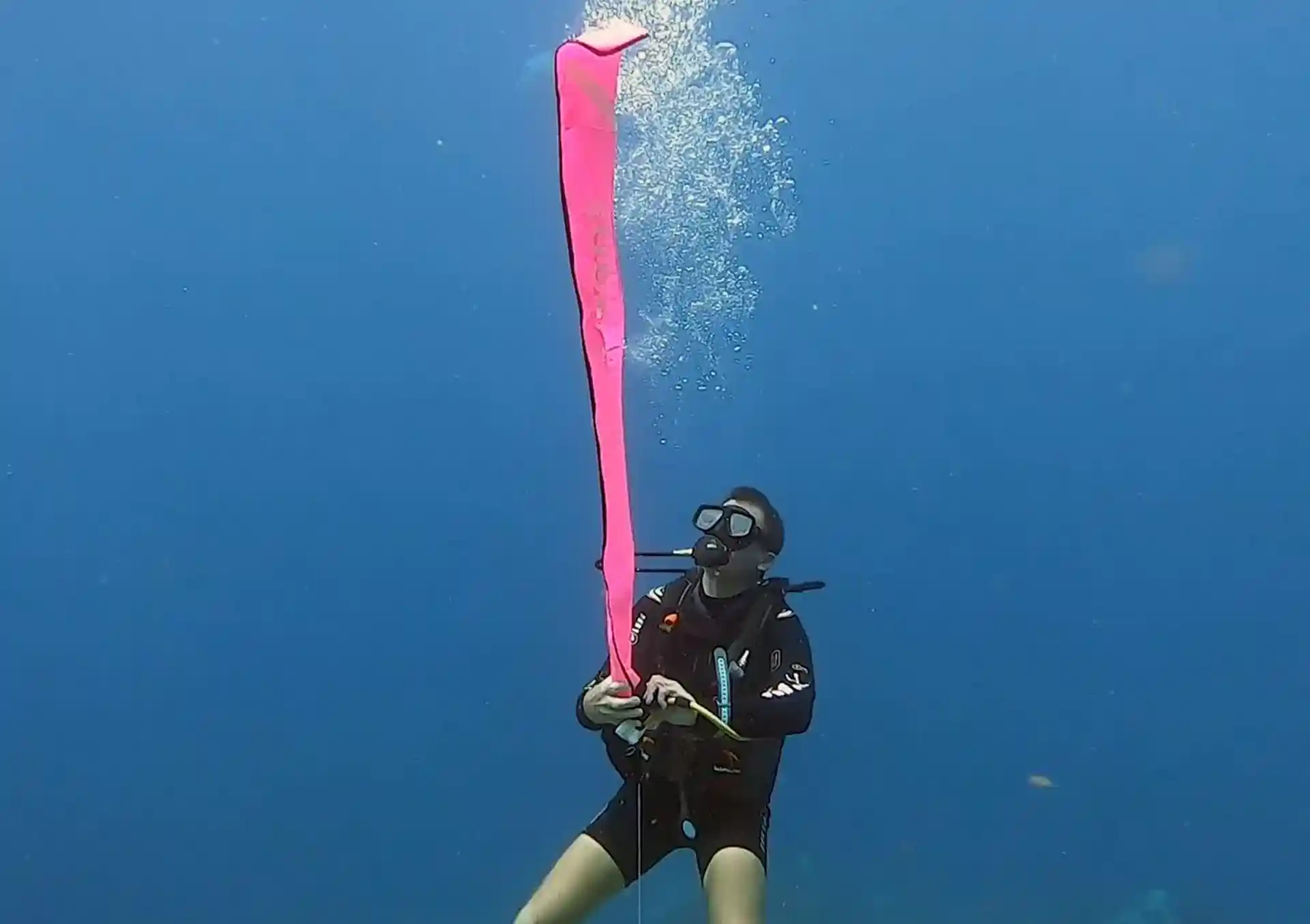 Foto de la actividad